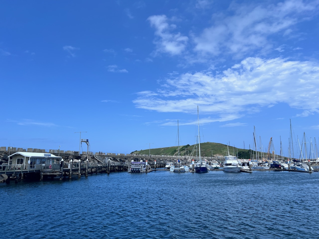 Safely in the Marina