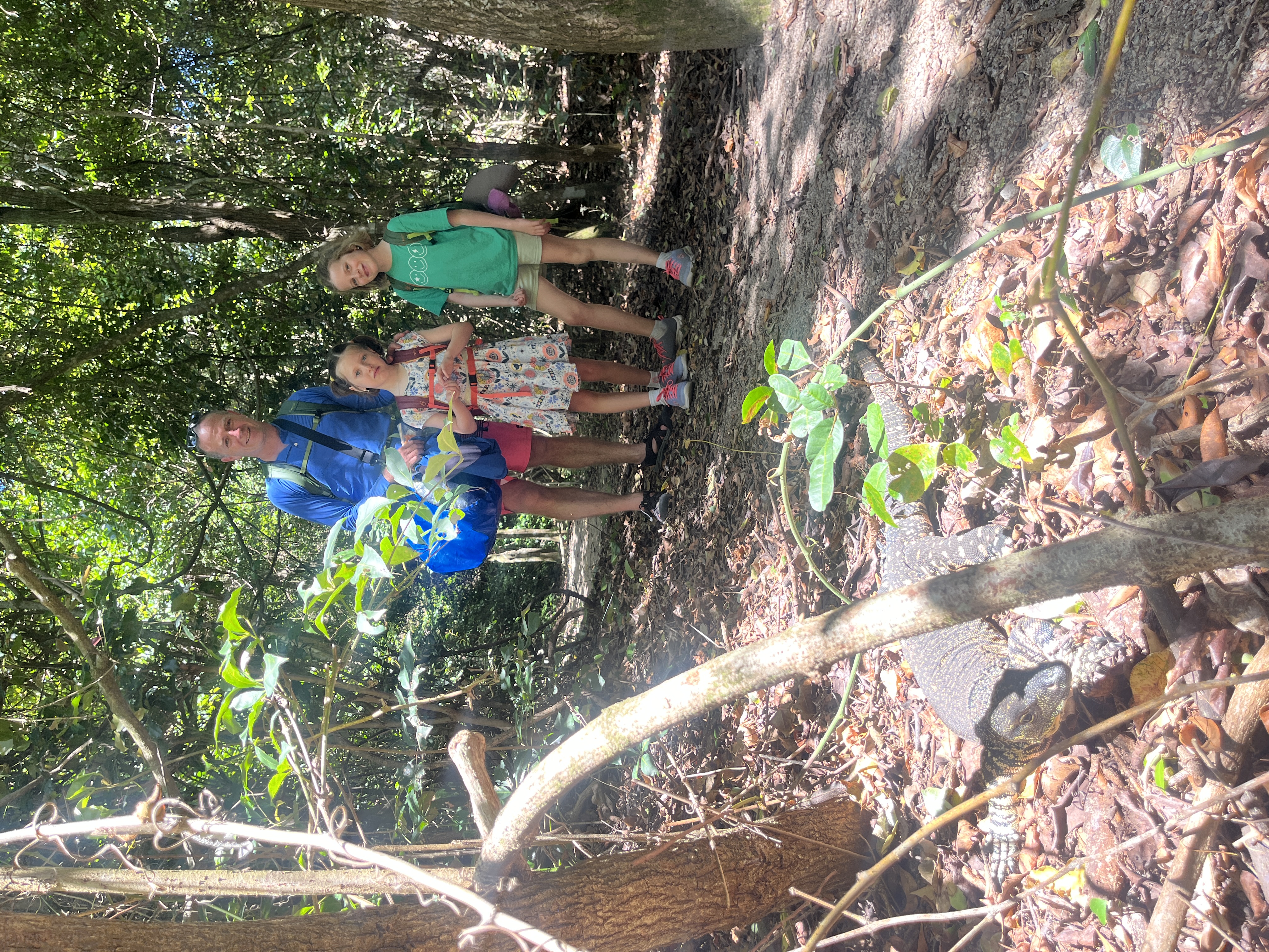 Forest Walk
