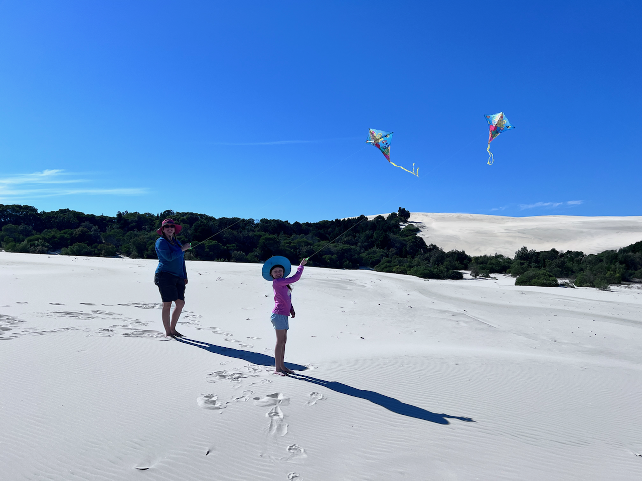 Perfect kite flying conditions