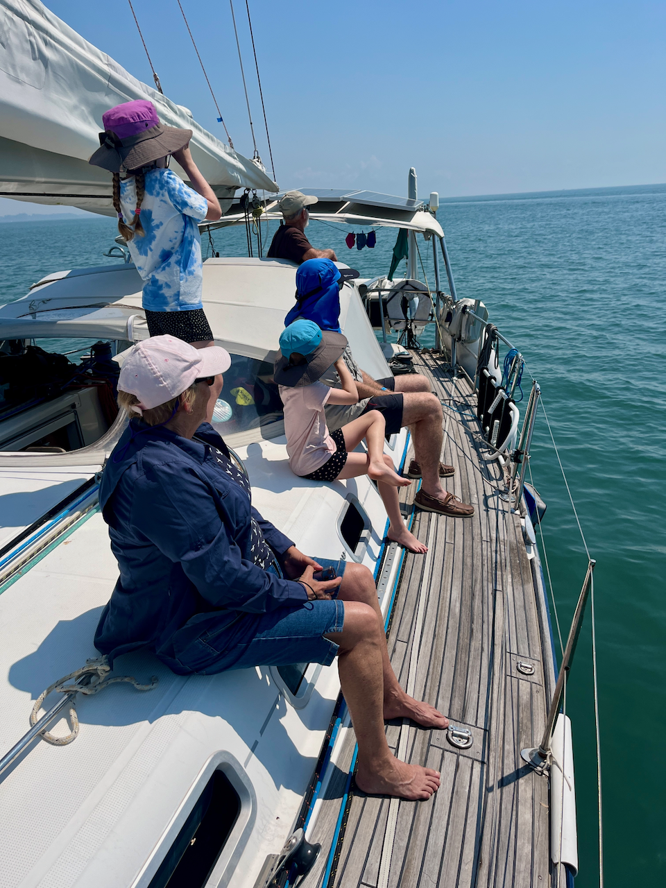 Whale Watching