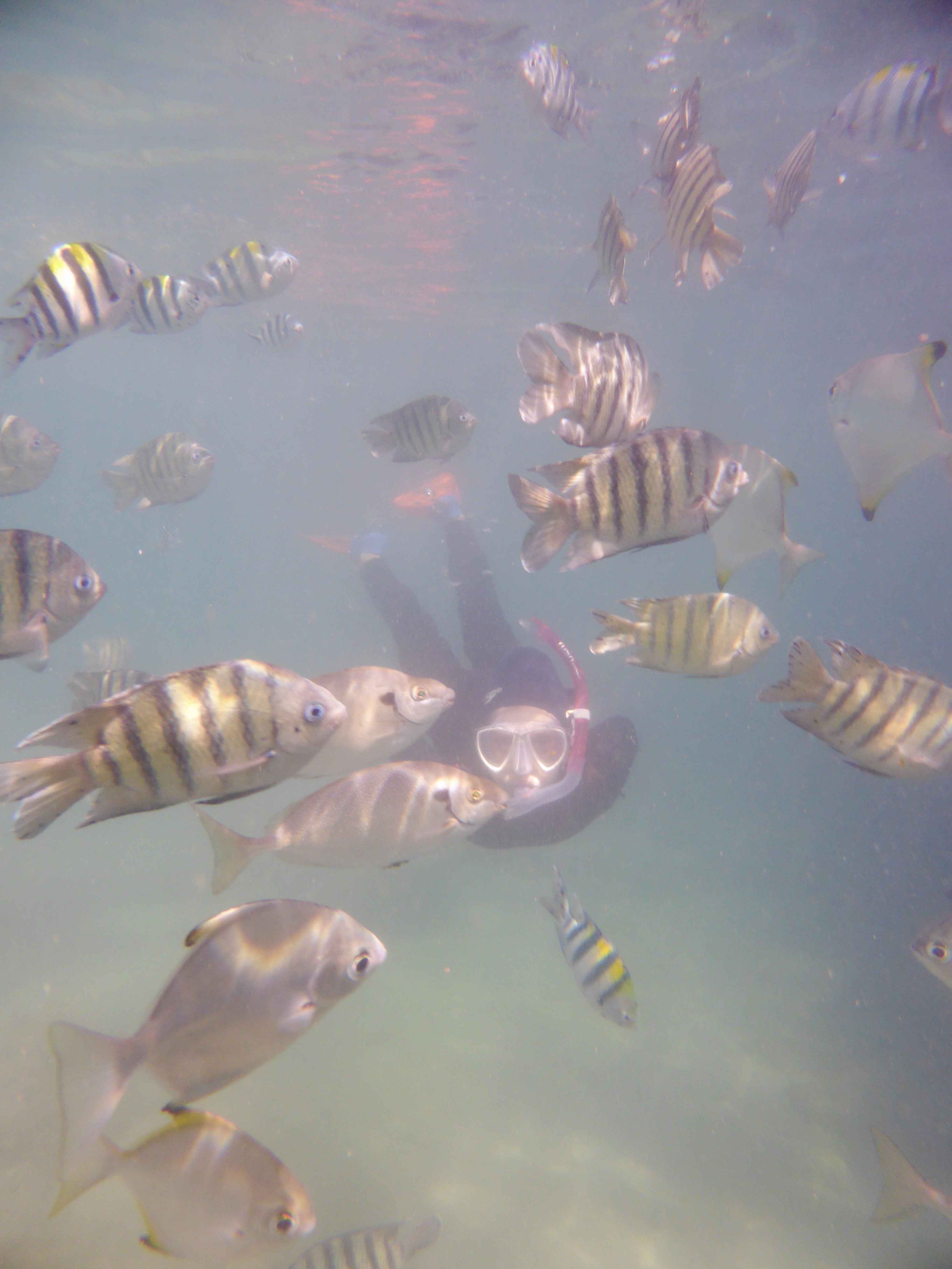 Emma doing her thing, plenty fish about. Water clarity not the best.