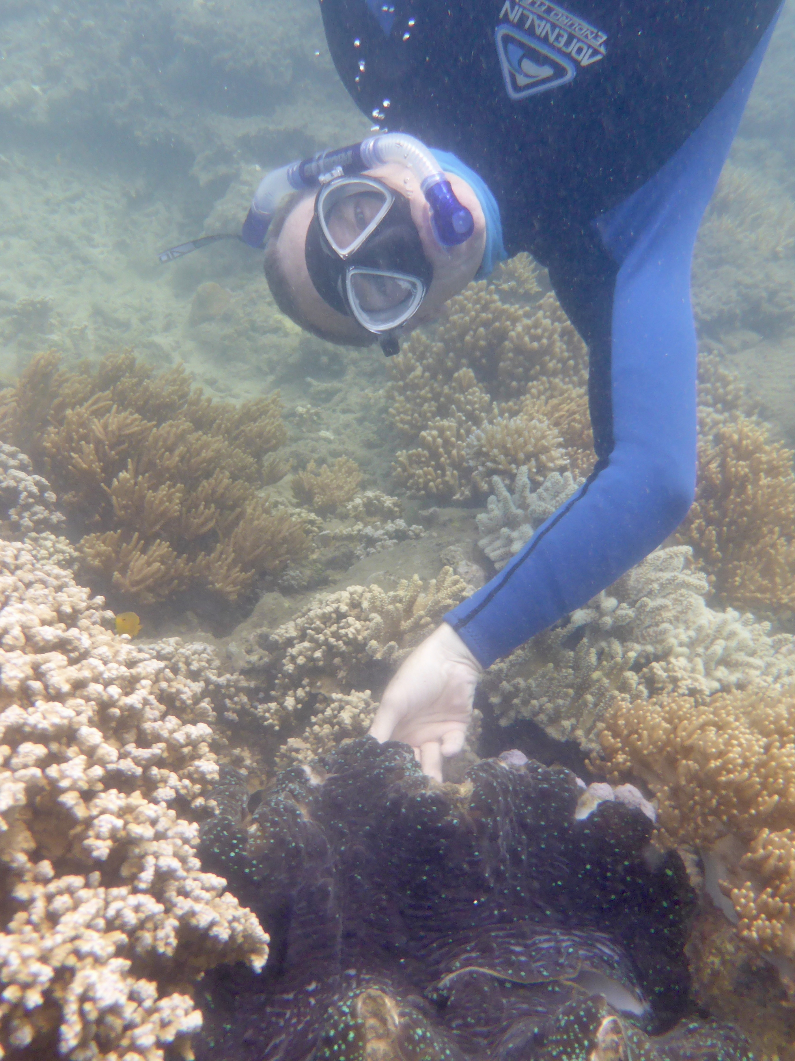 One of the photos Emma swam down and took