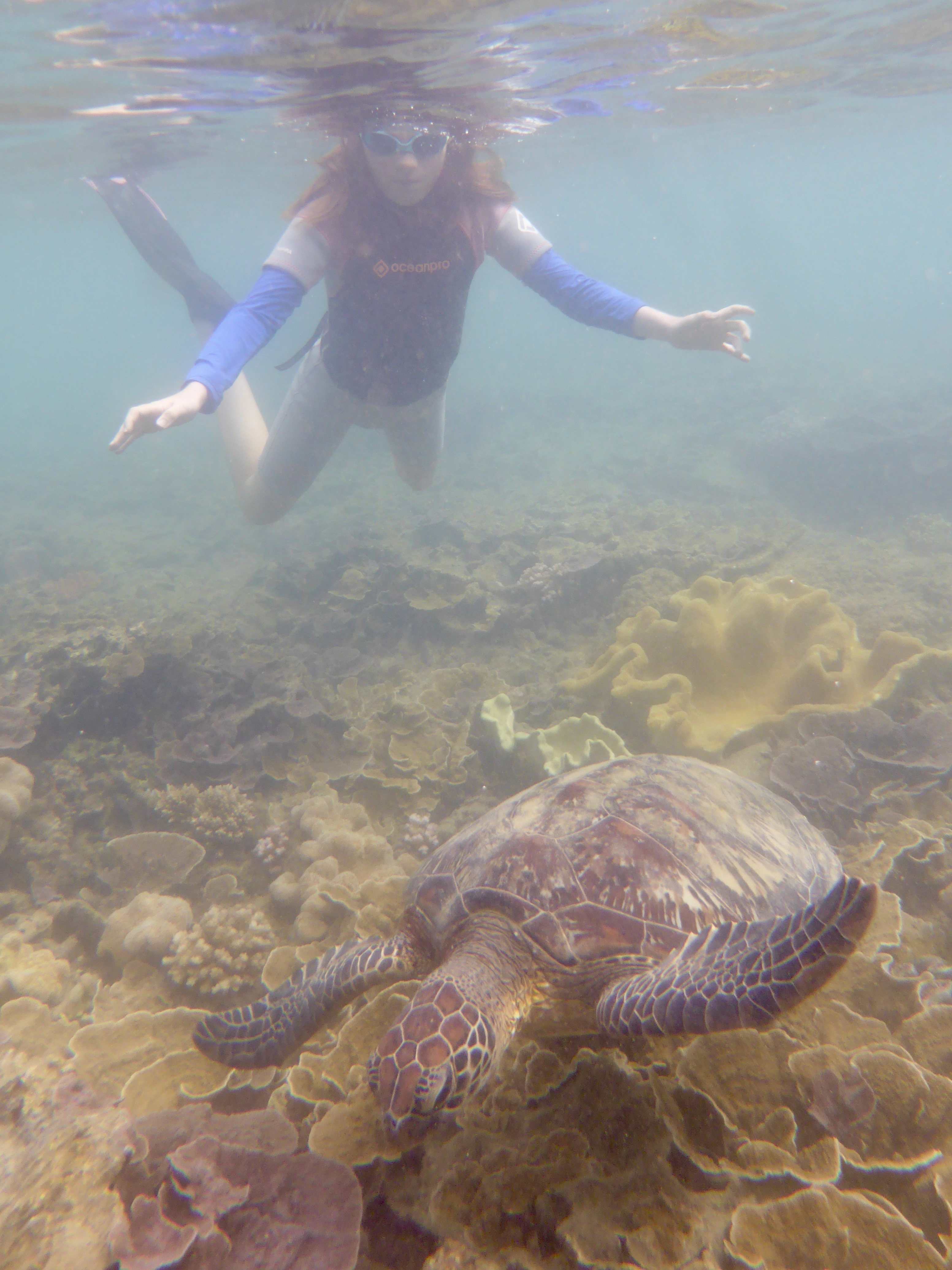 Kristina loves turtles just (almost) as much as Kristie