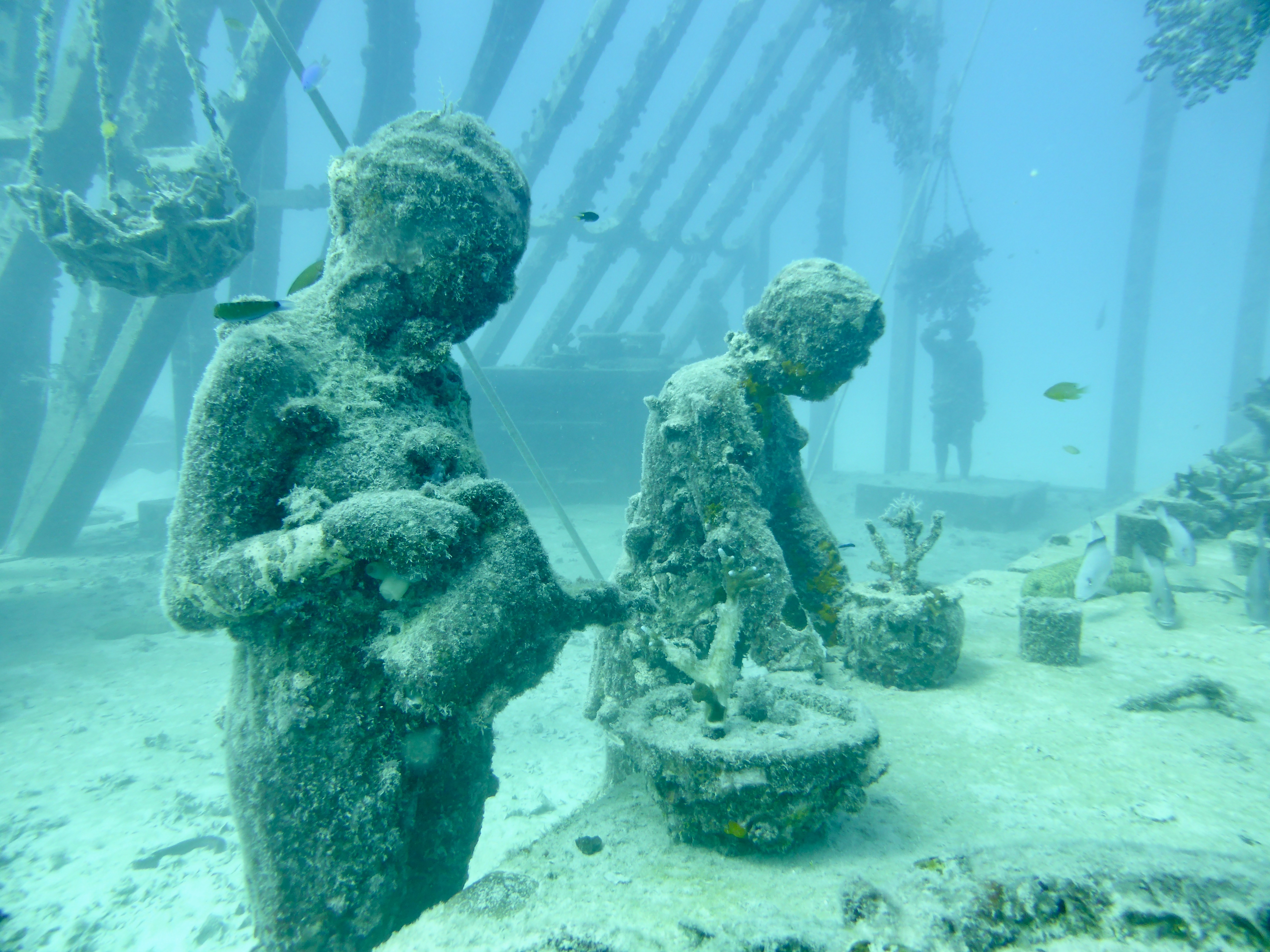The Coral Greenhouse at MOUA