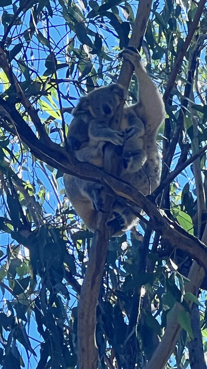 This was right next to the campsite