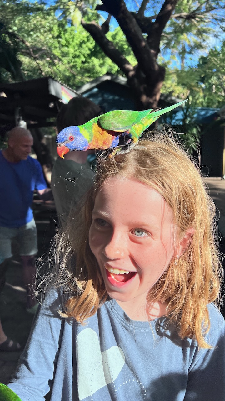 The birds were fun