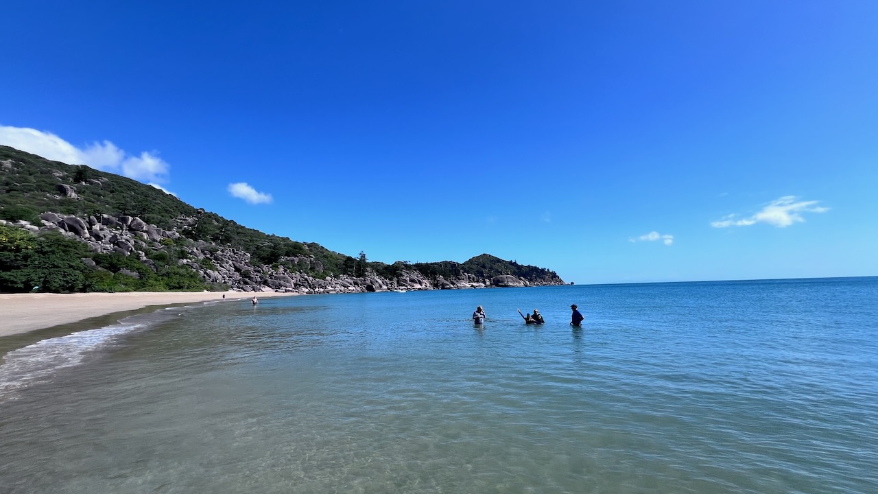 Nice day for a swim