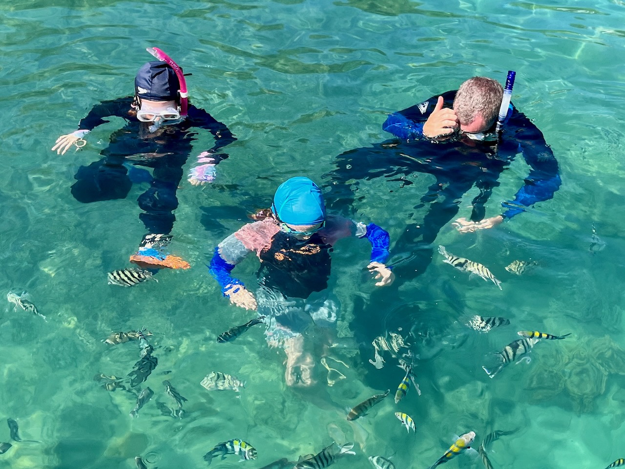 Nice clear water and lots of fish