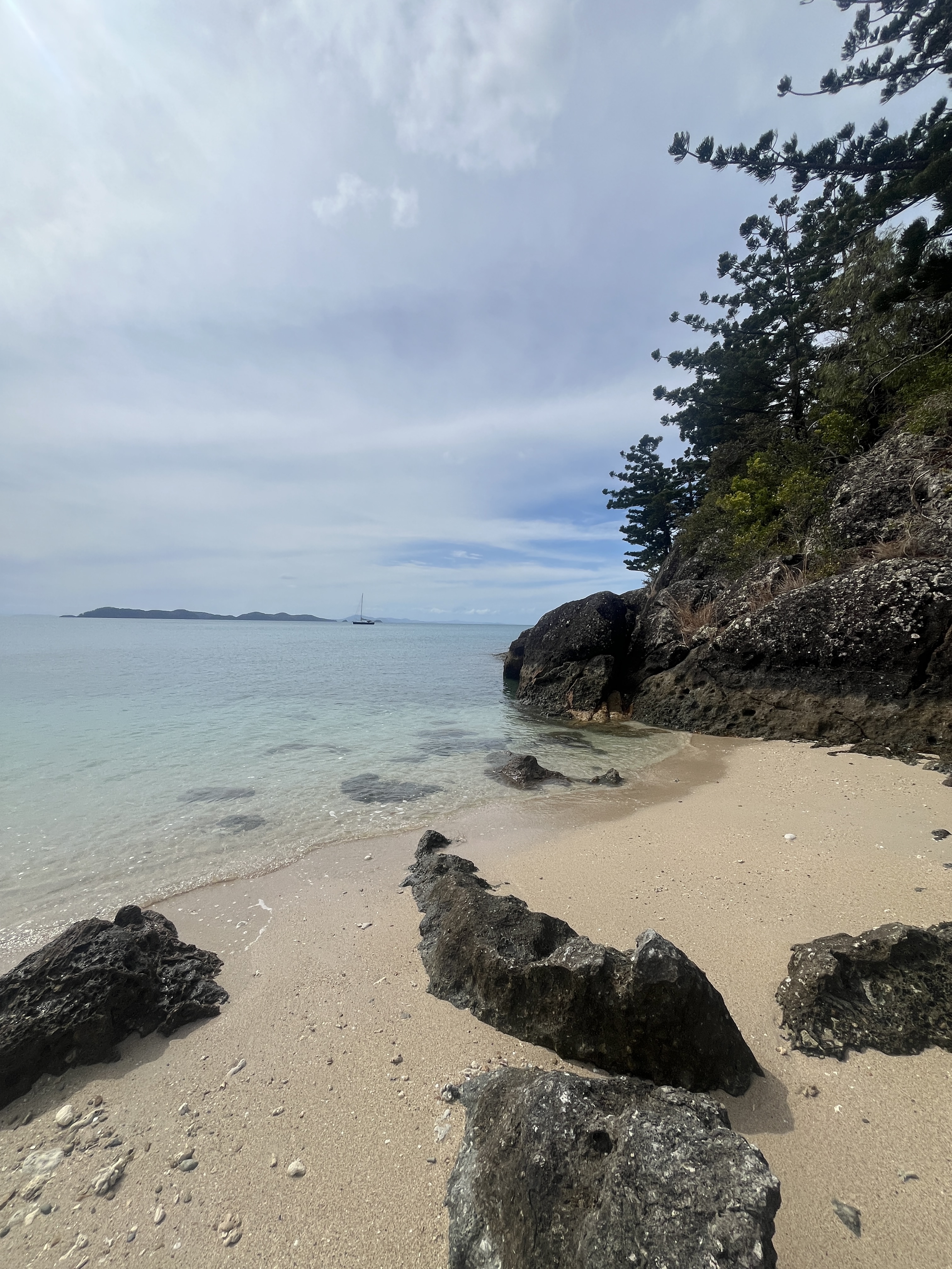 We swam up in the corner here where it was nice and sheltered