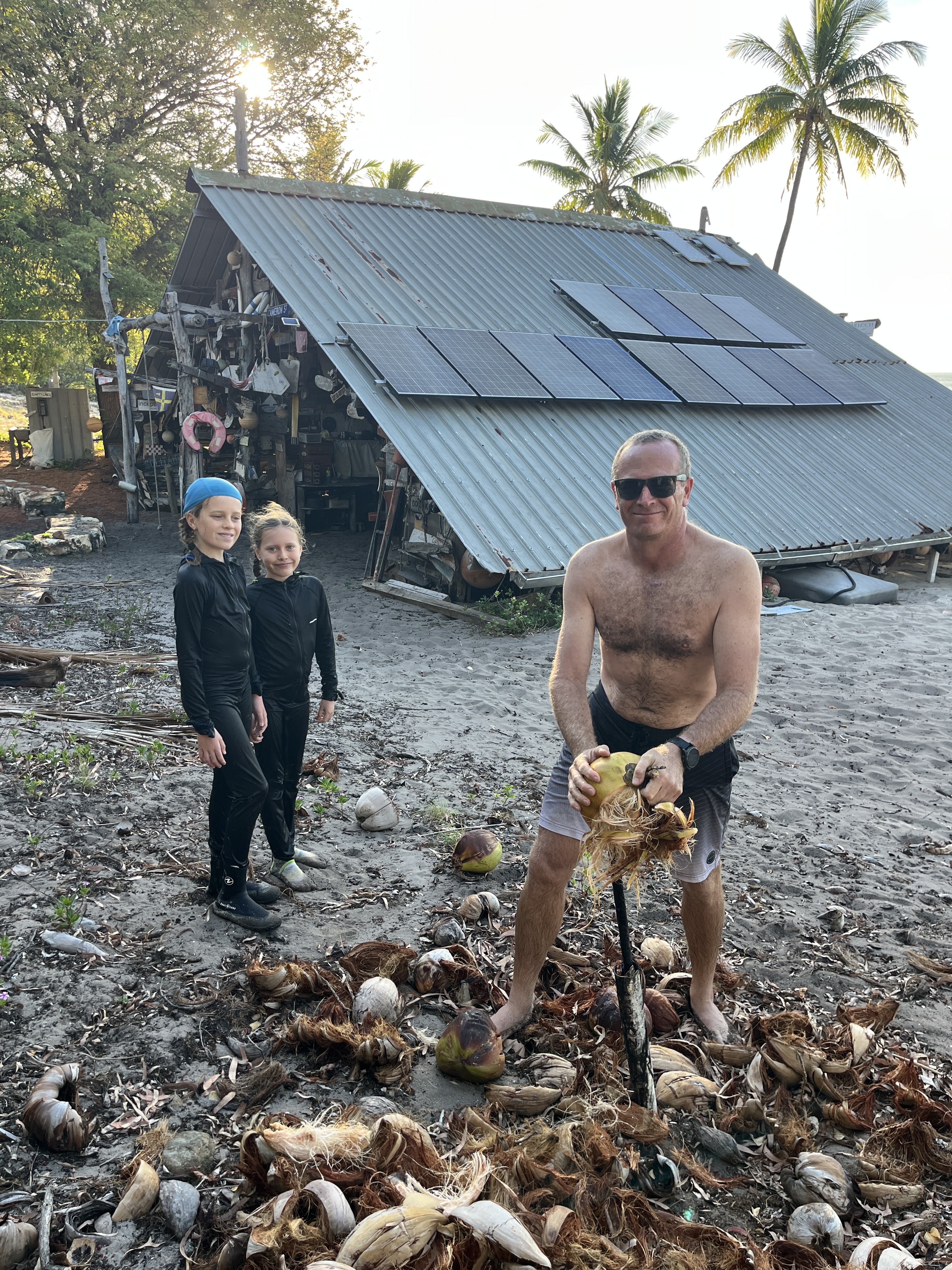 Plenty of coconuts to split open