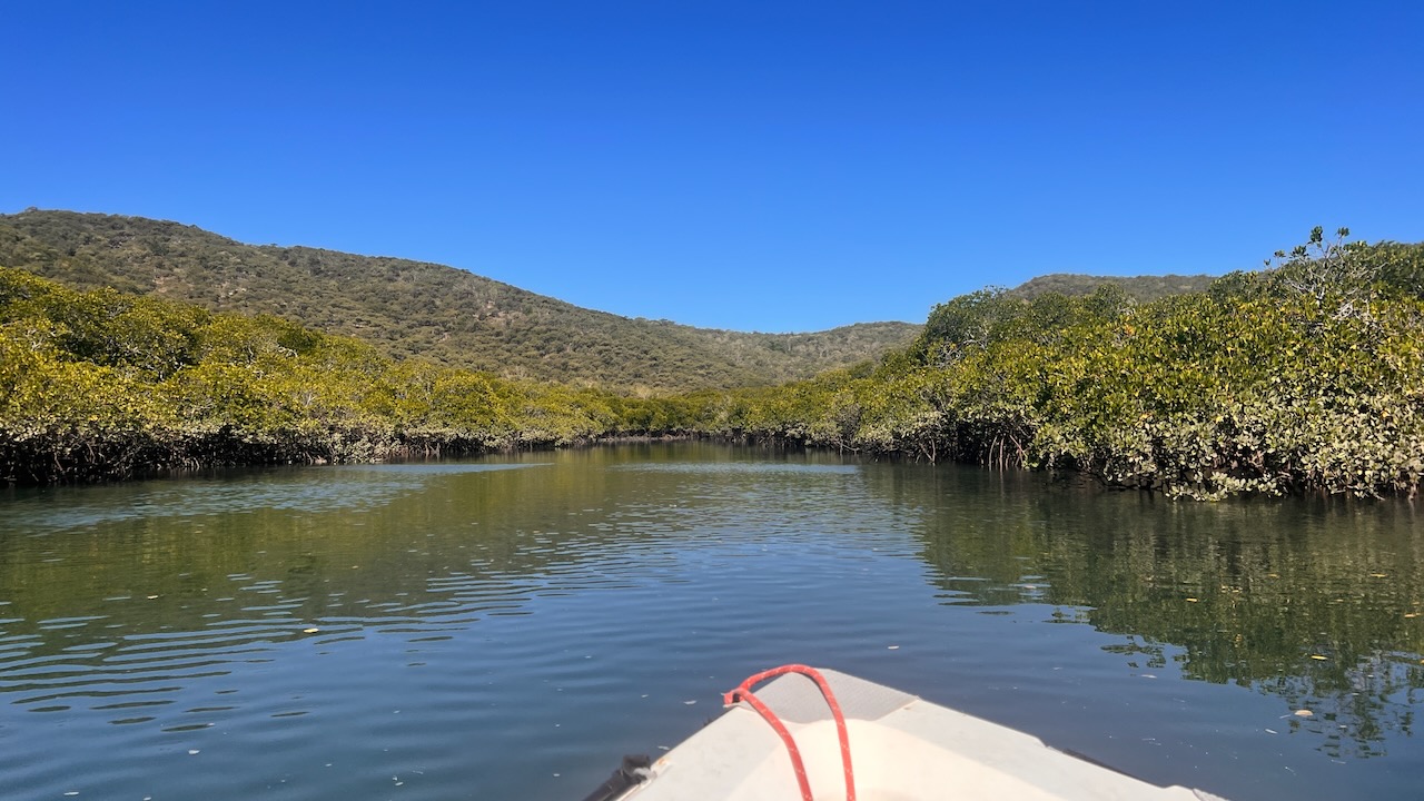 Exploring up the creek/lagoon