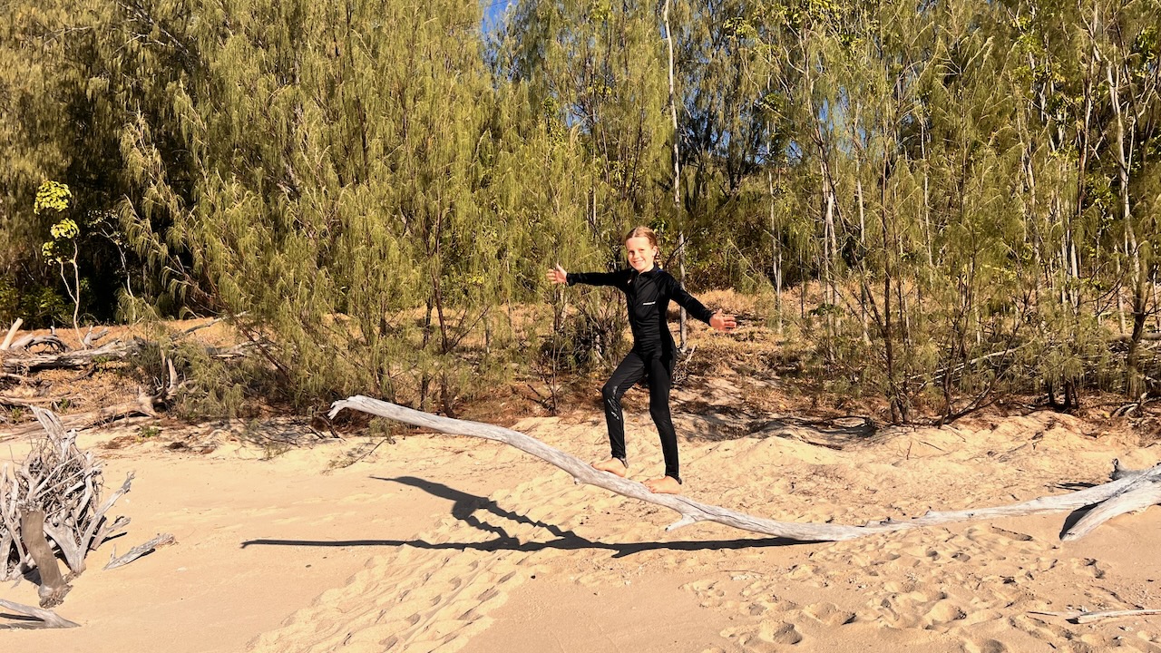 Have branch, will climb