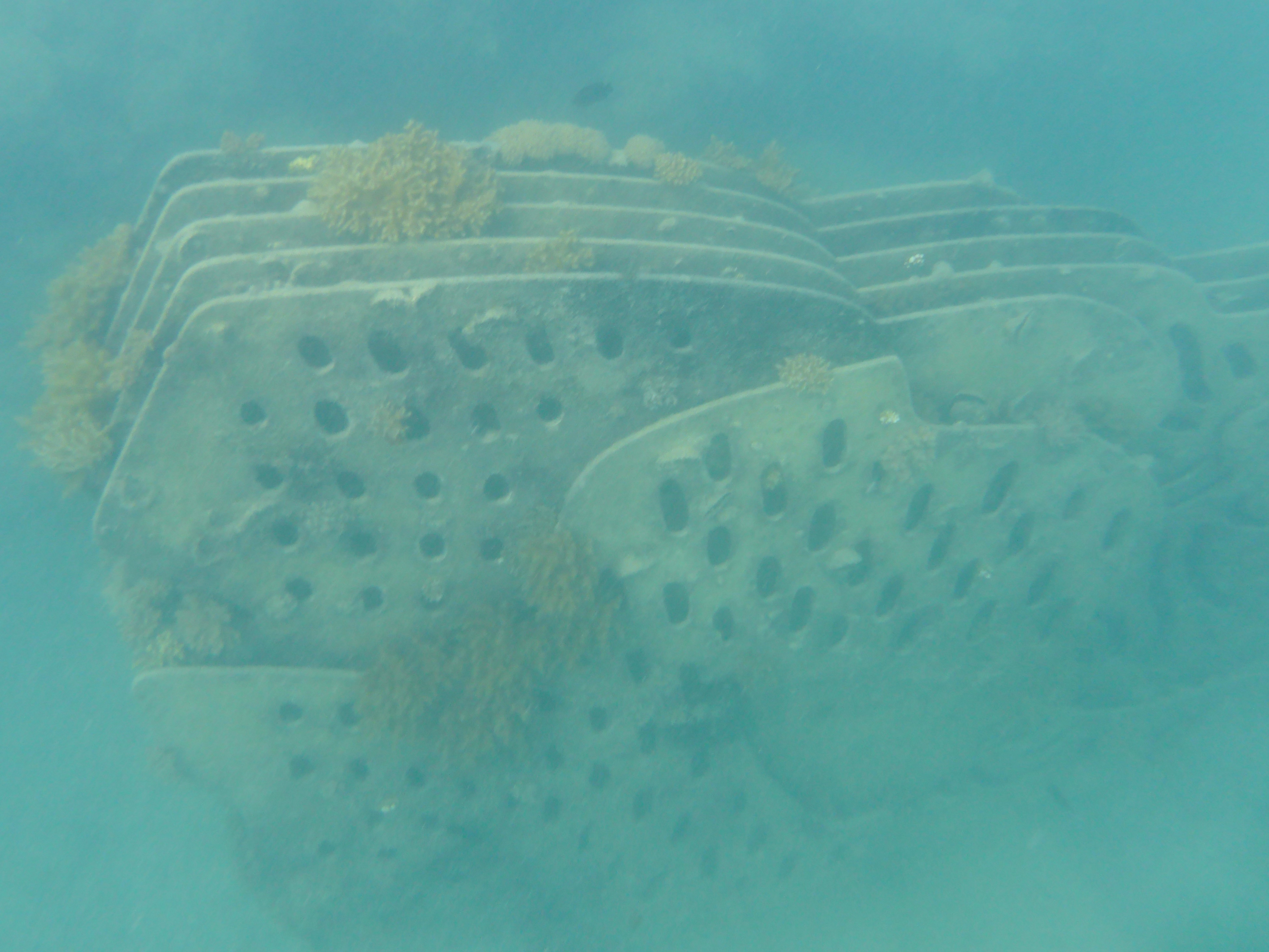 Once we knew where to look it was easy to find!