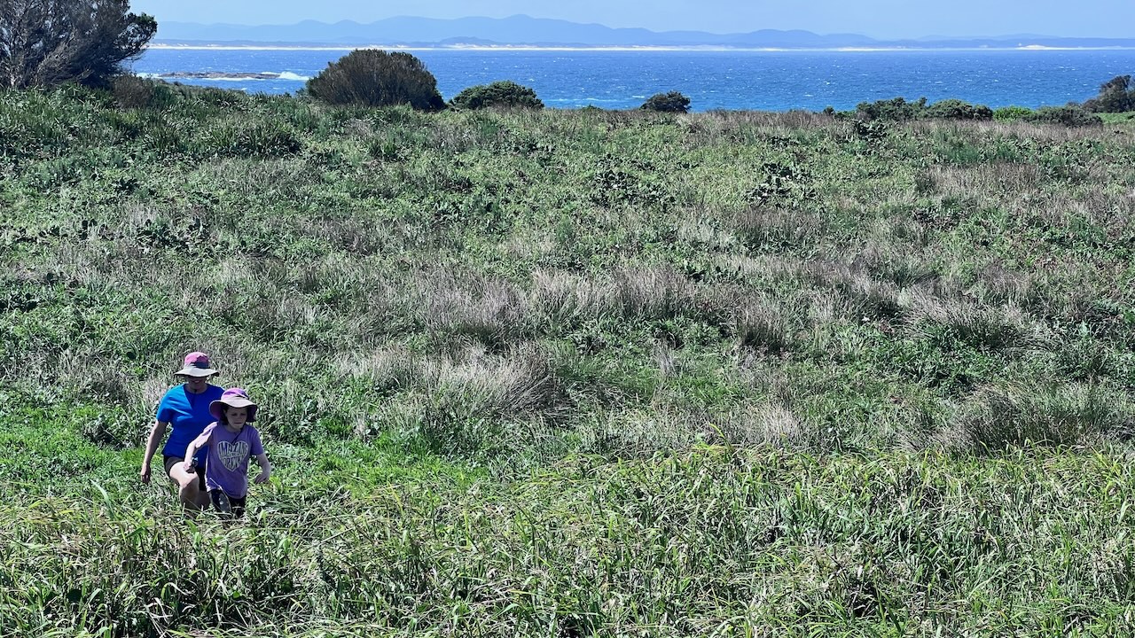It felt like bush bashing going across the top