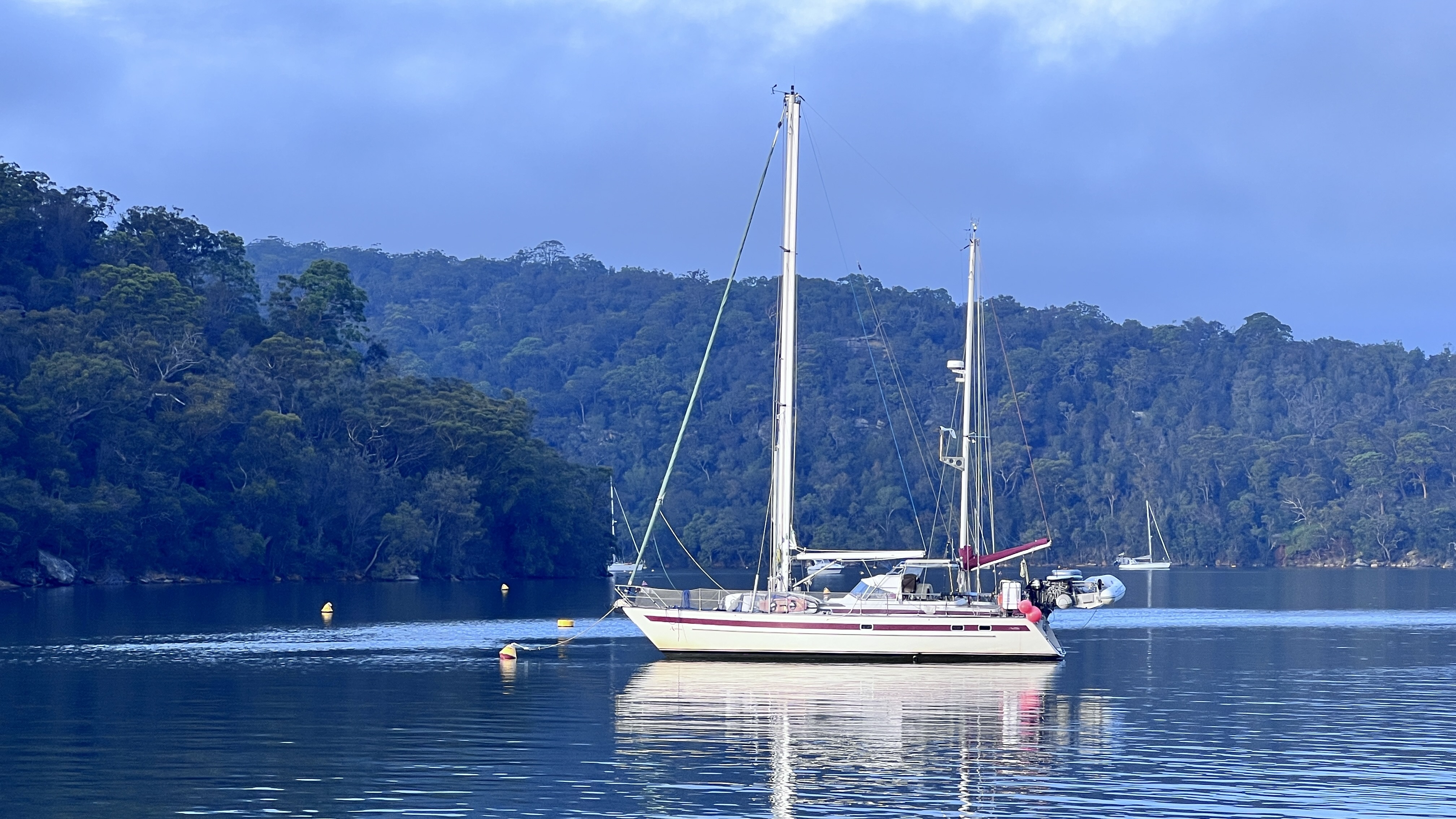 Ambrosia in America Bay