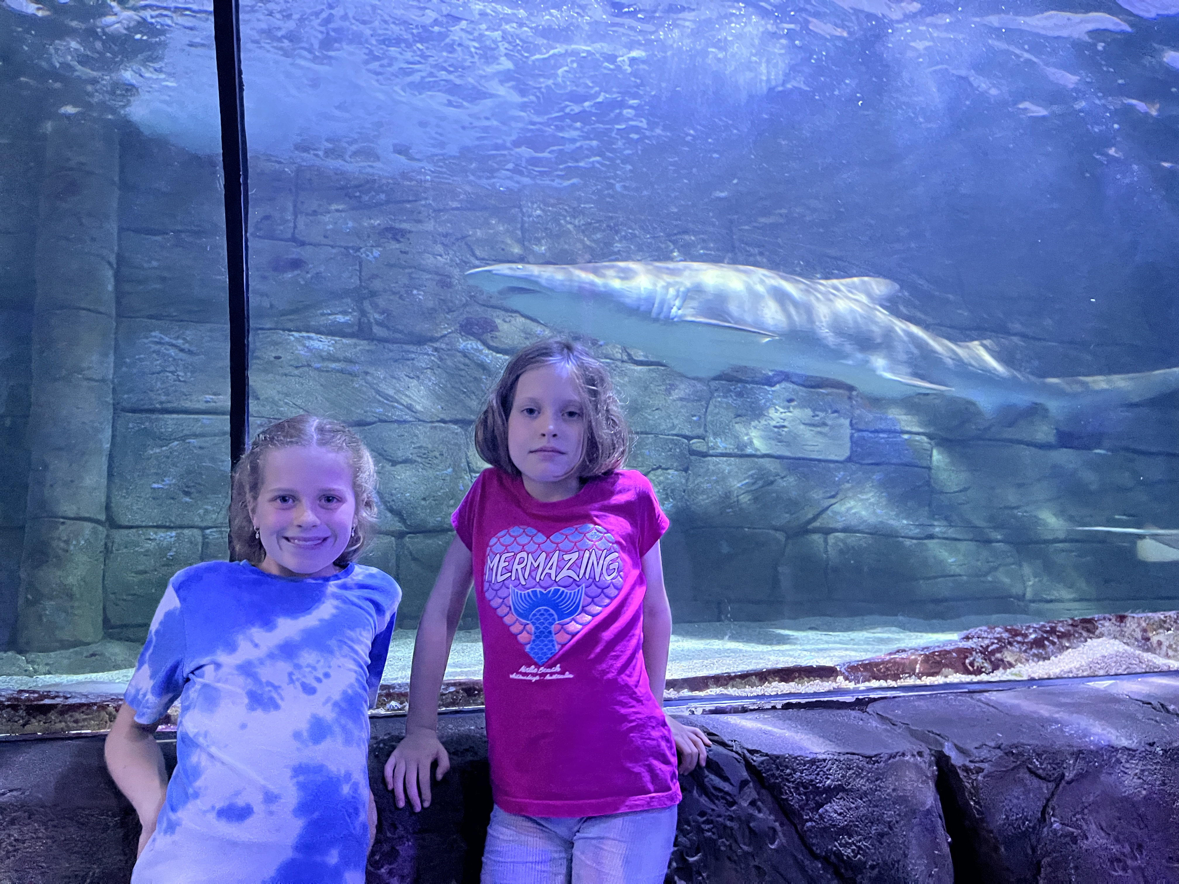 The girls and a Grey Nurse Shark
