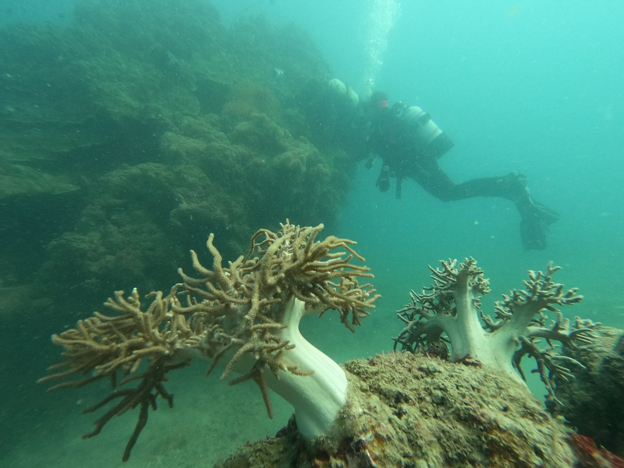 Wasn't the best conditions underwater