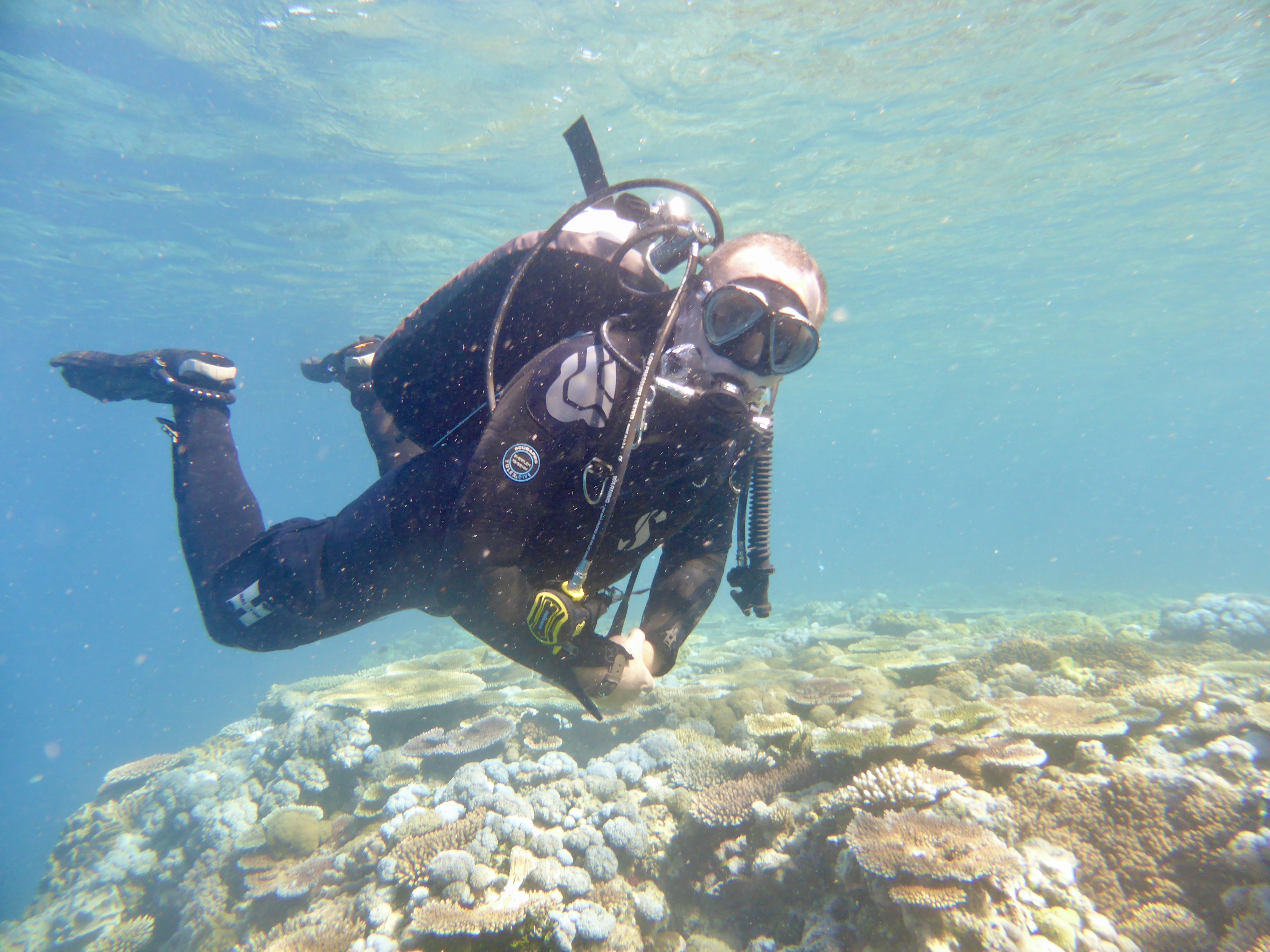Great dive