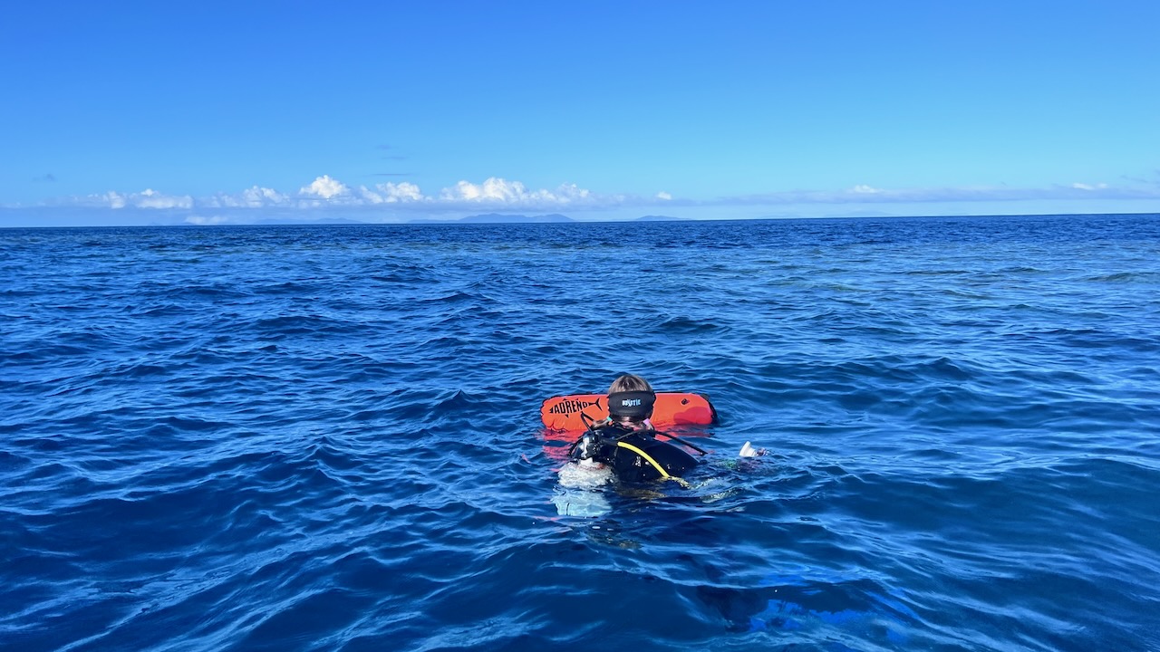 Heading down for a solo dive