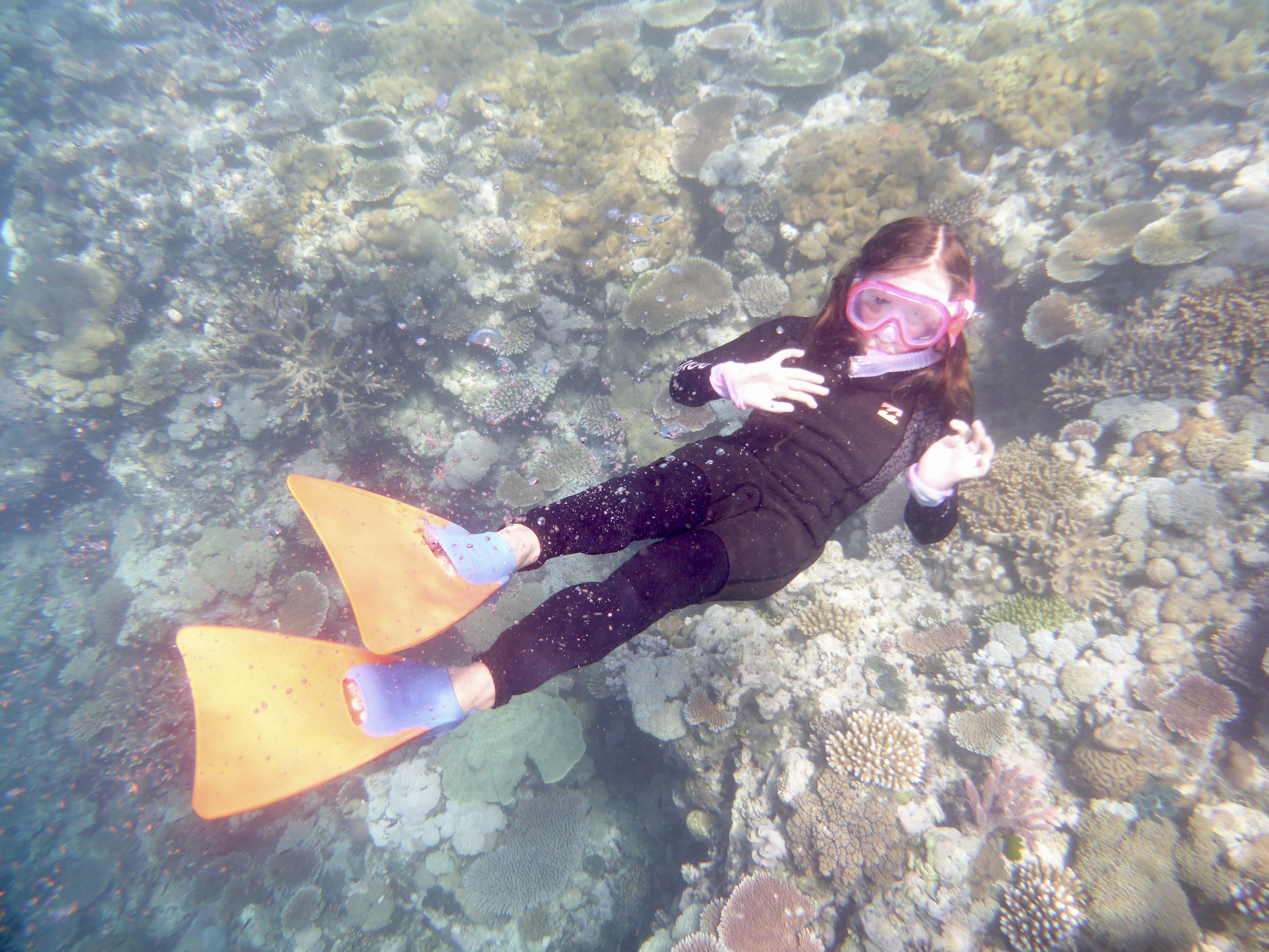 Emma is loving diving down and exploring!