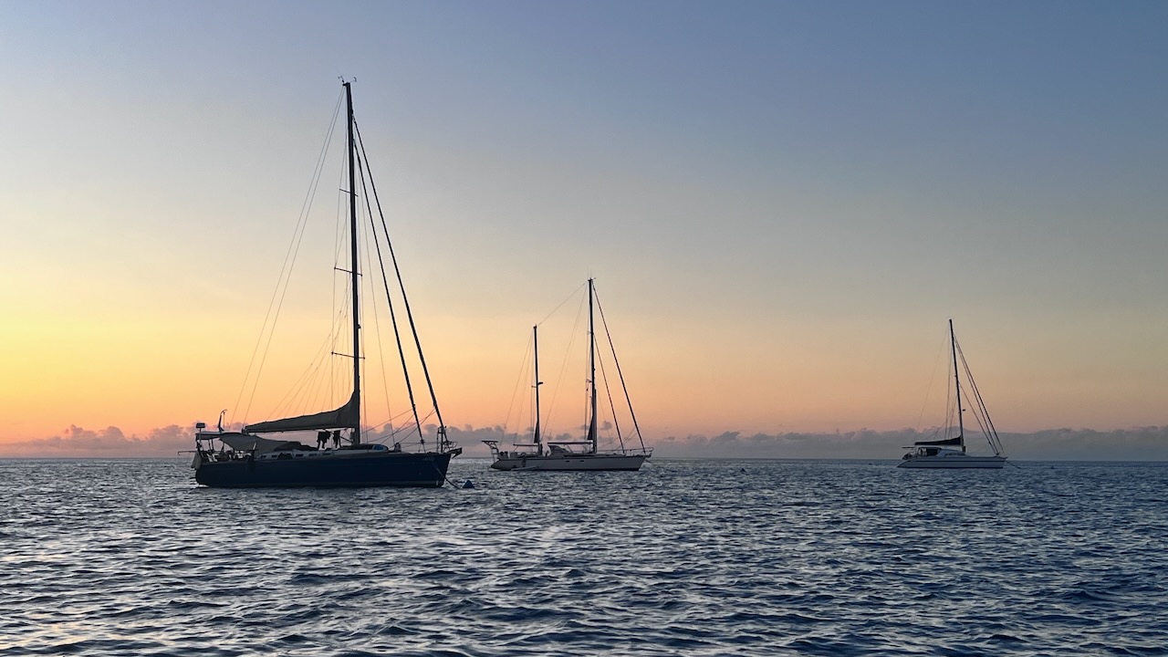 Lazuli in the sunset out at Bait