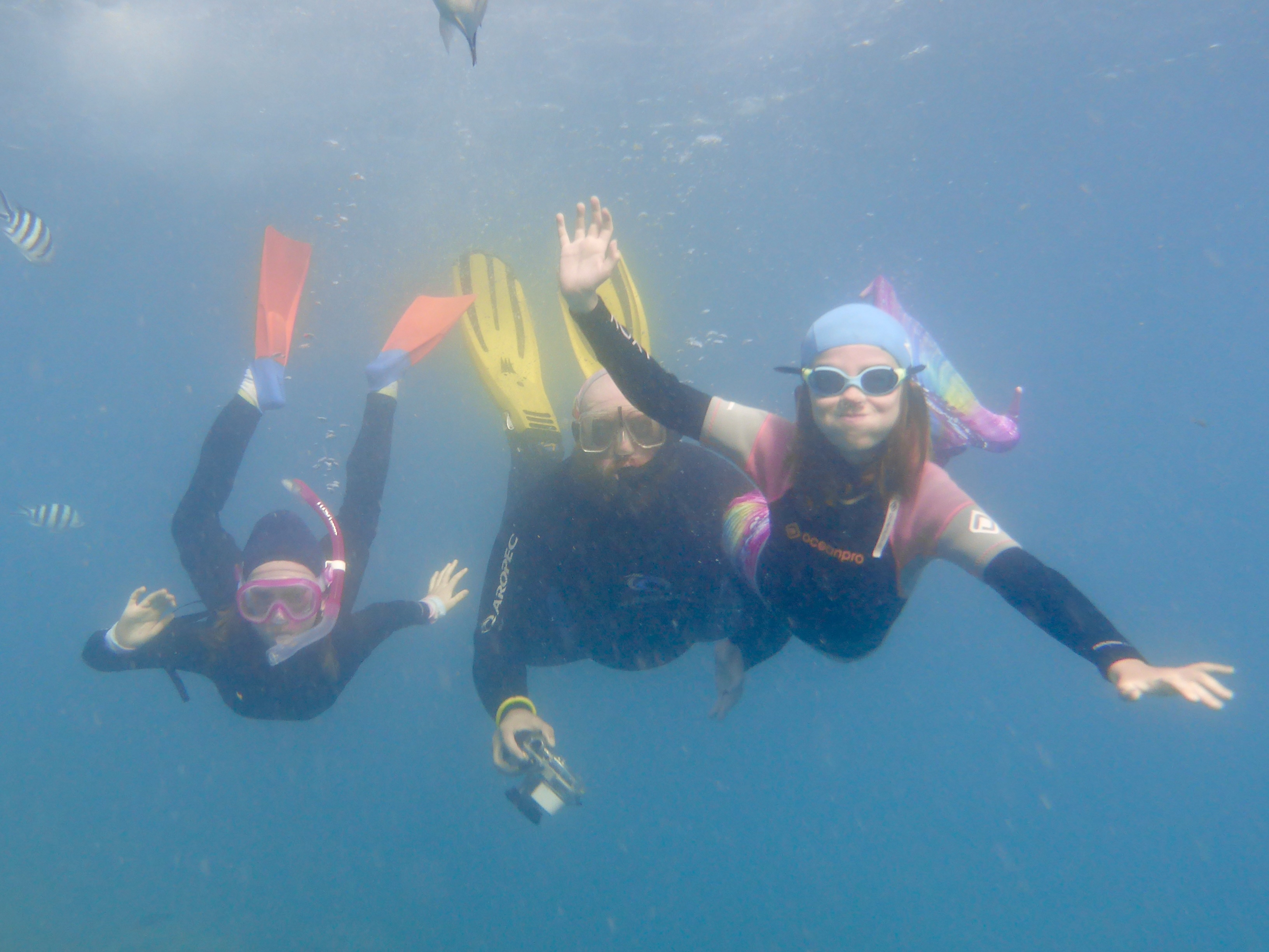 We had lots of fun diving down and taking photos