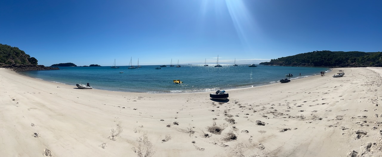 Not a bad afternoon
