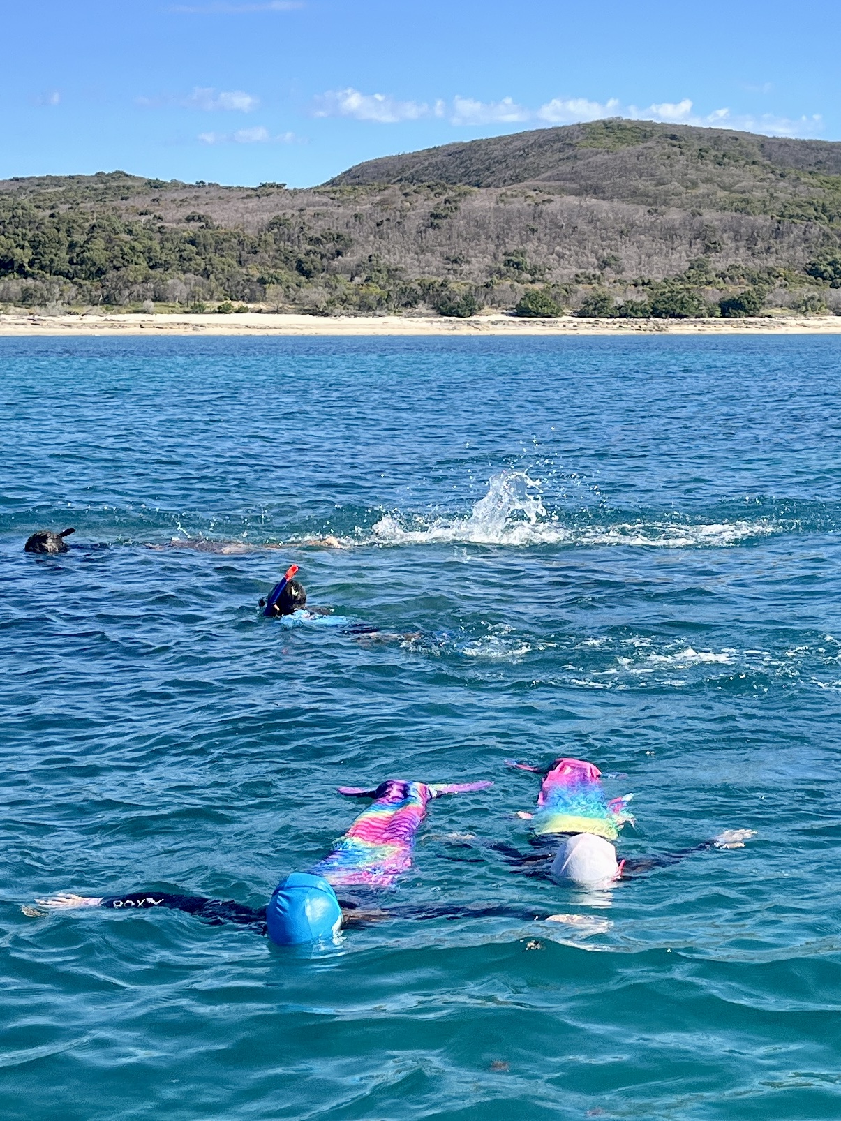In the water for a quick snorkel and splash