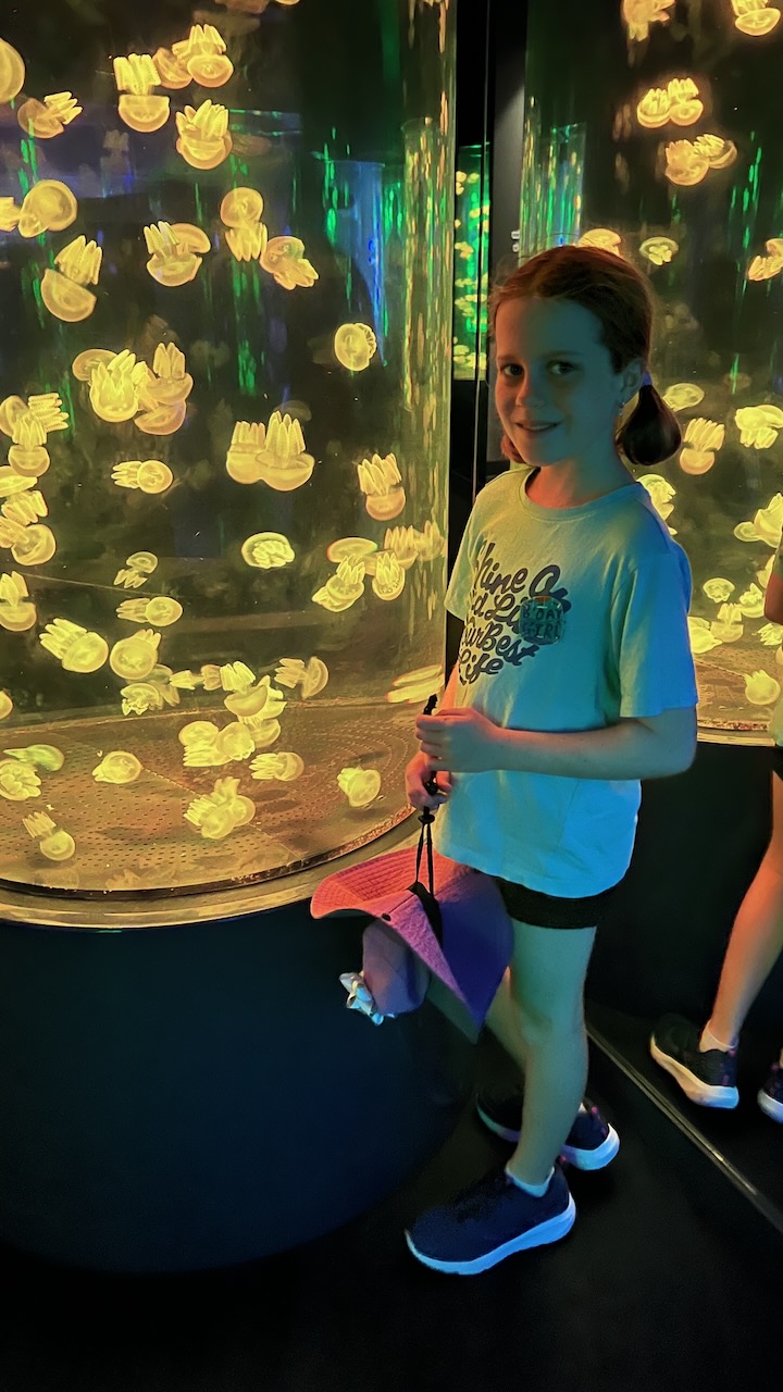 The Jellyfish were cool