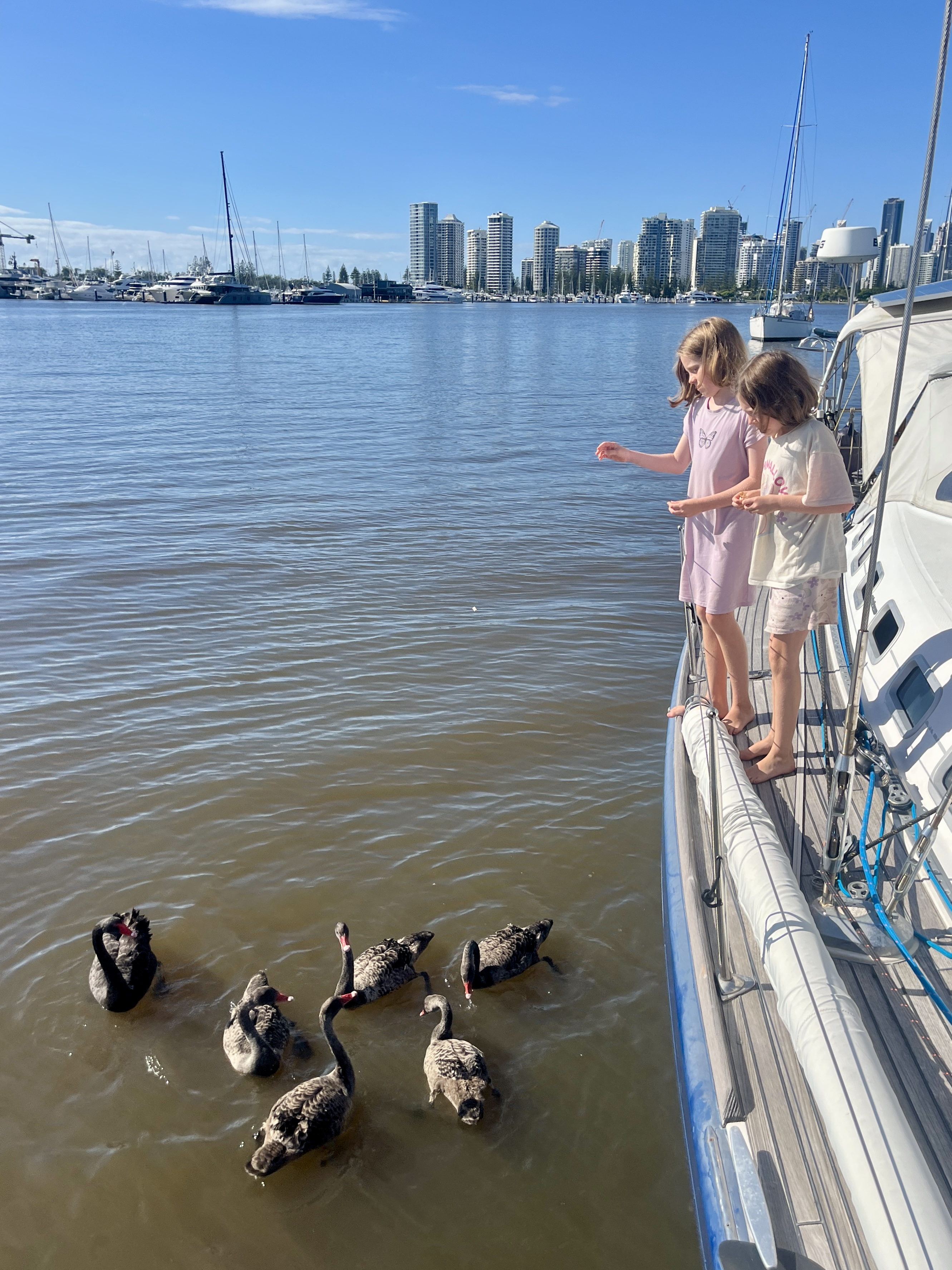 We had a family come and say hi and hung out for a bit