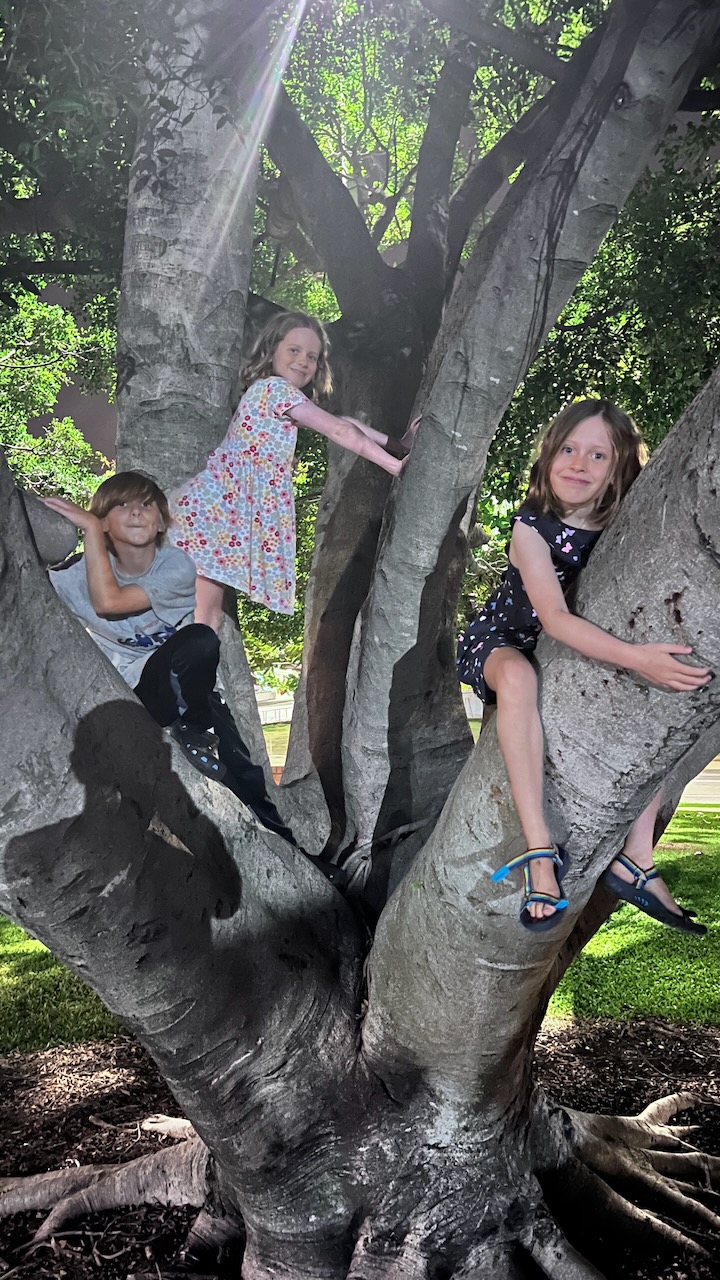Will climb any tree any time