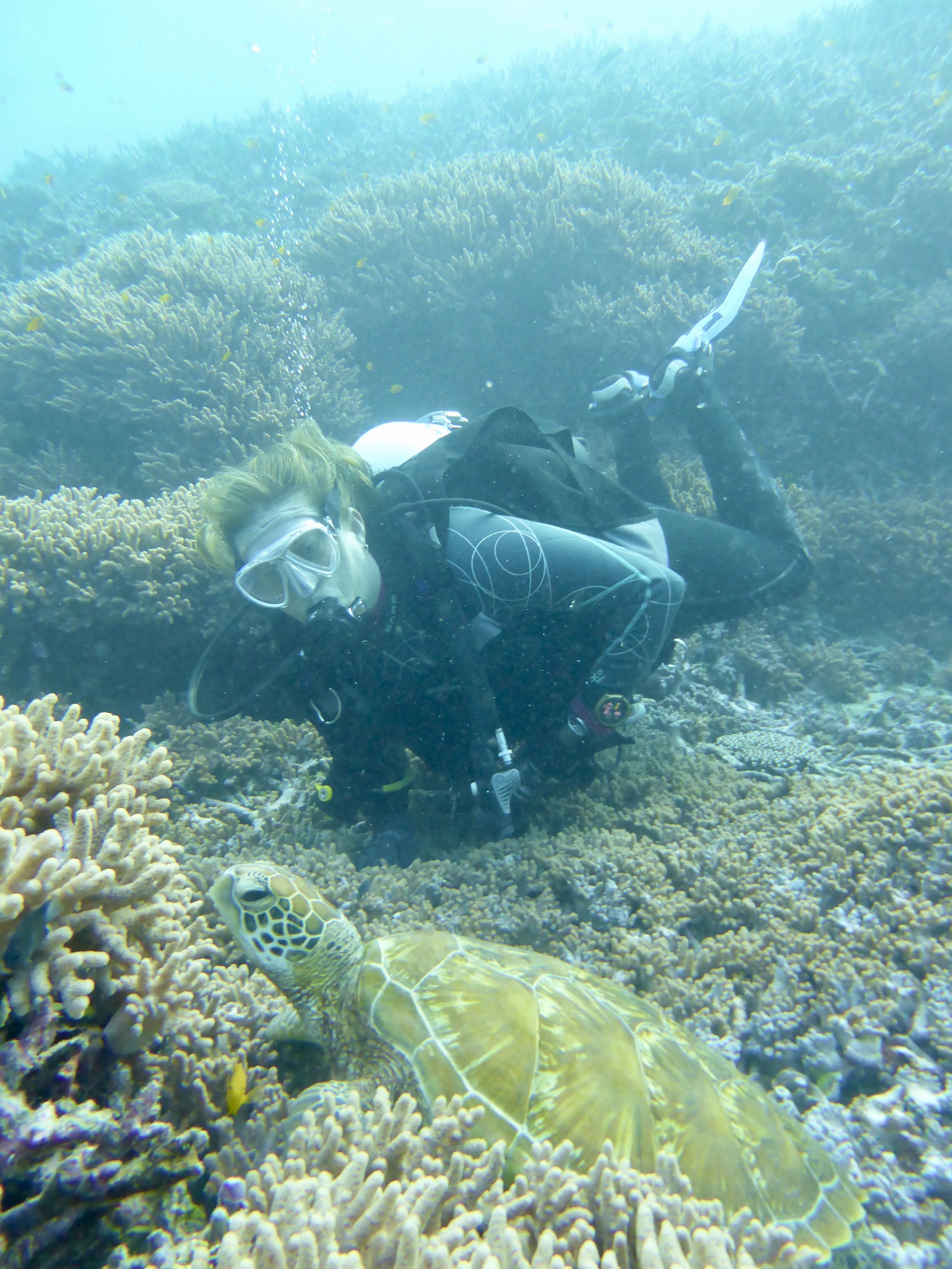 Kristie at one with the turtles