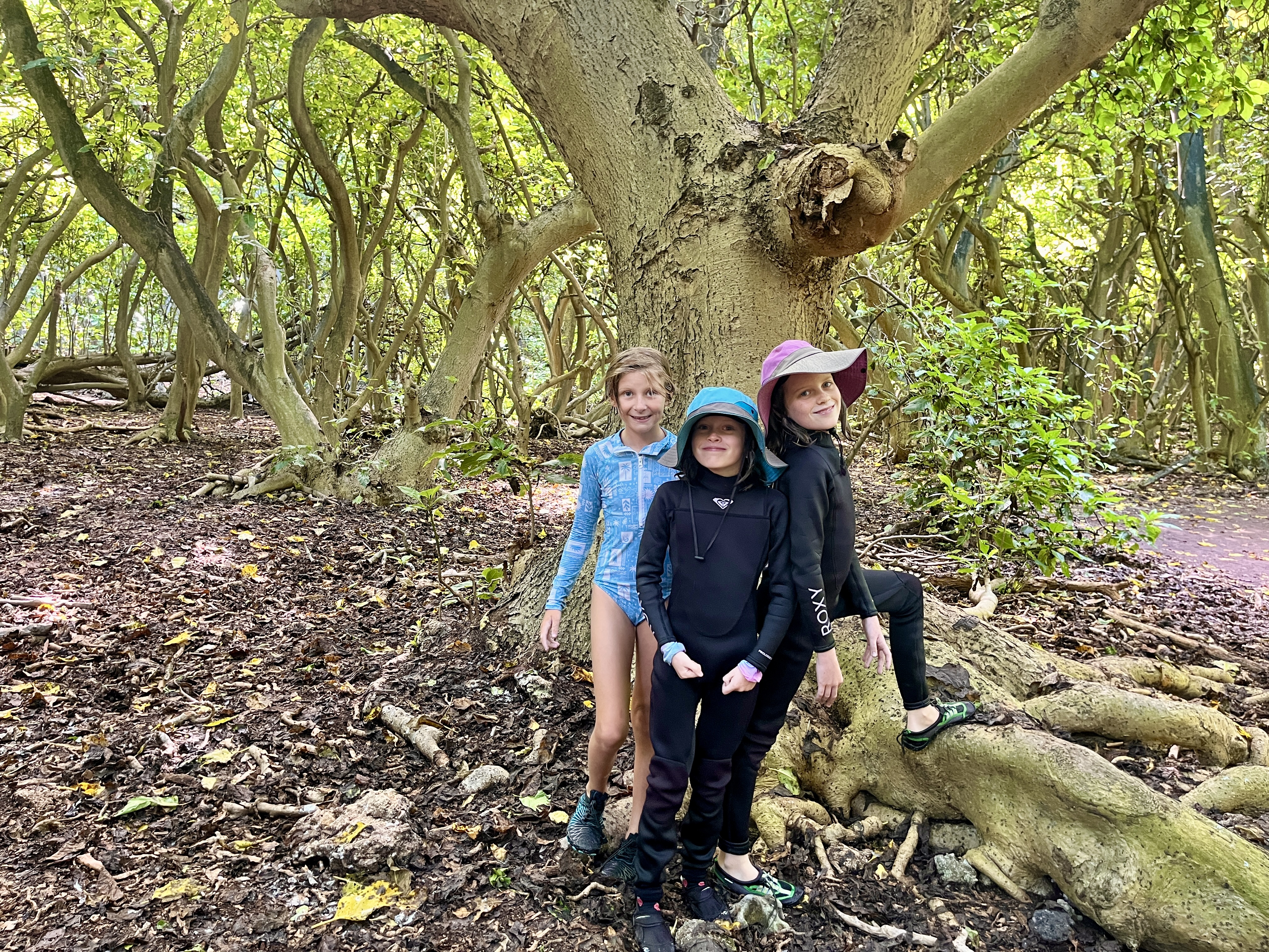The girls had to climb lots of trees