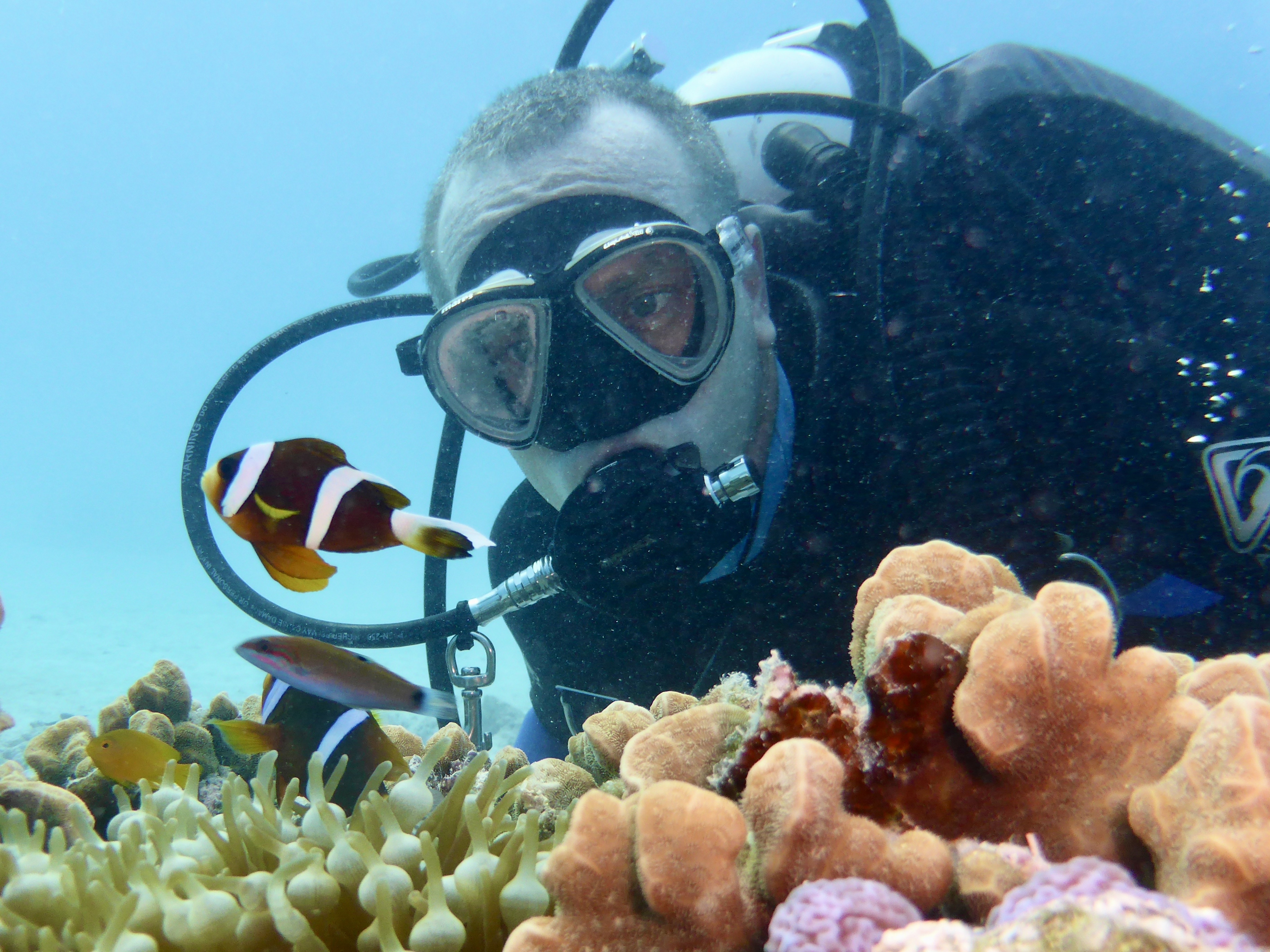 We found a Nemo...