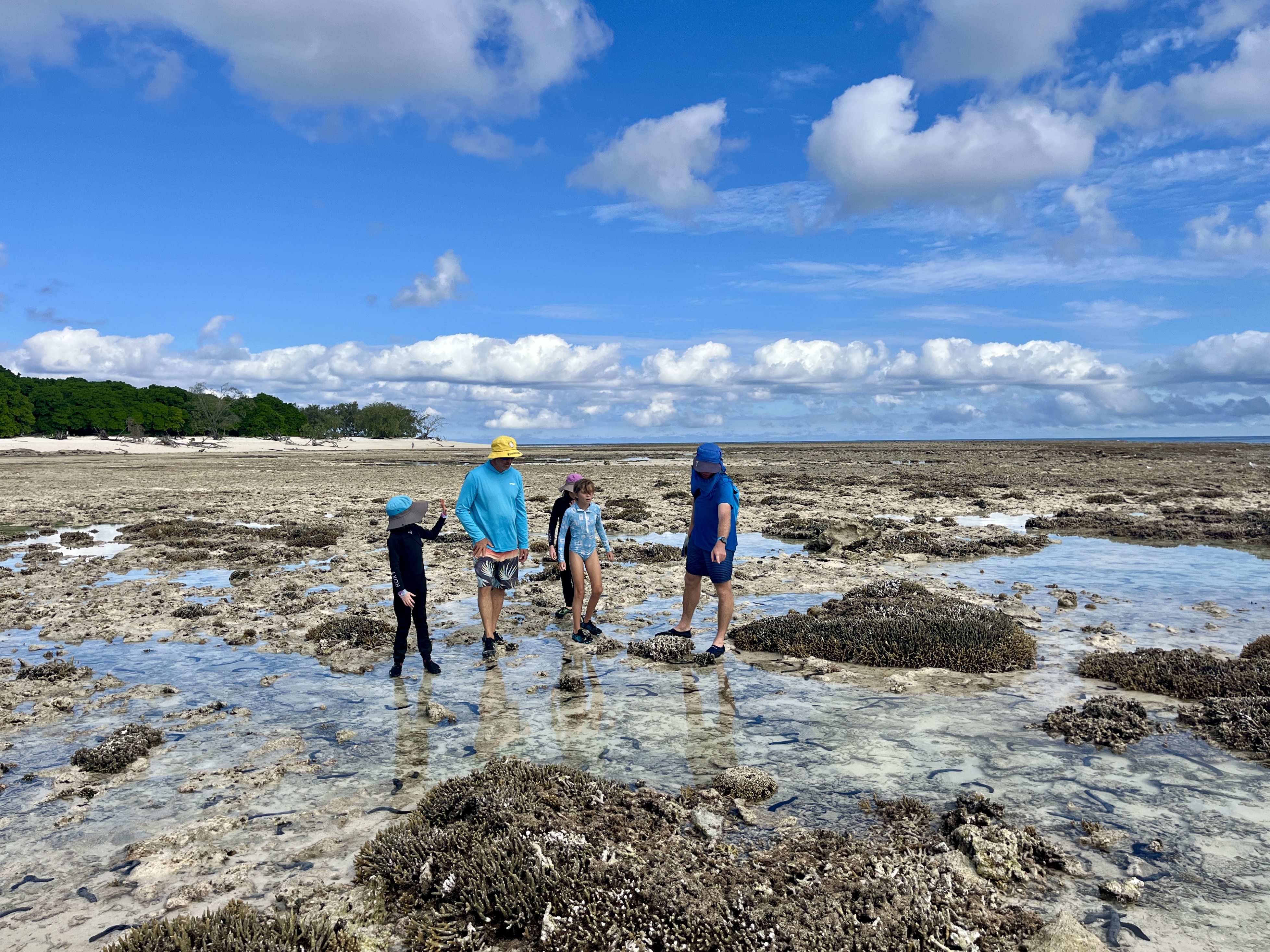 Reef walks at low tide are so much fun