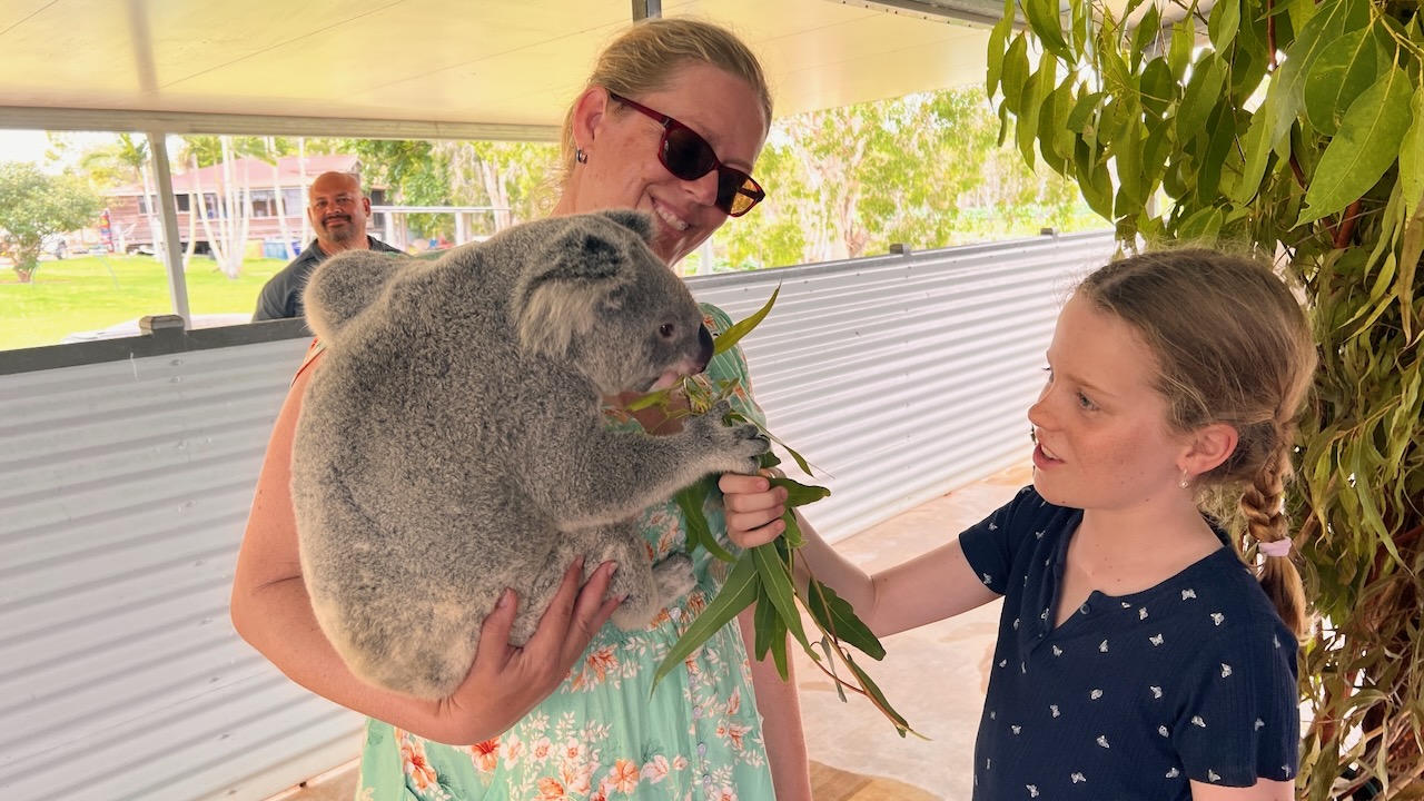 Just take the Koala for a walk and give it a feed!