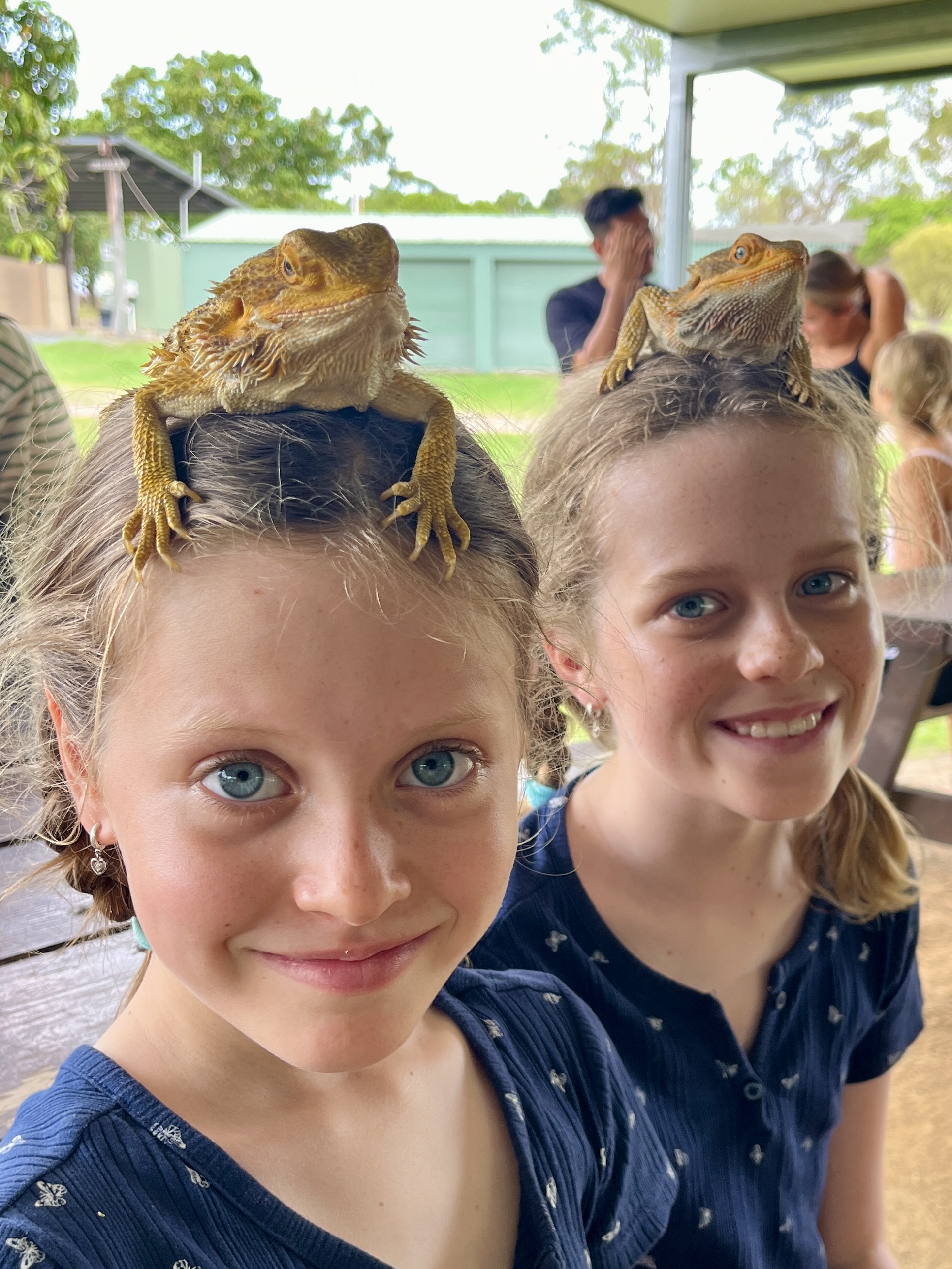 These lizards were cool.