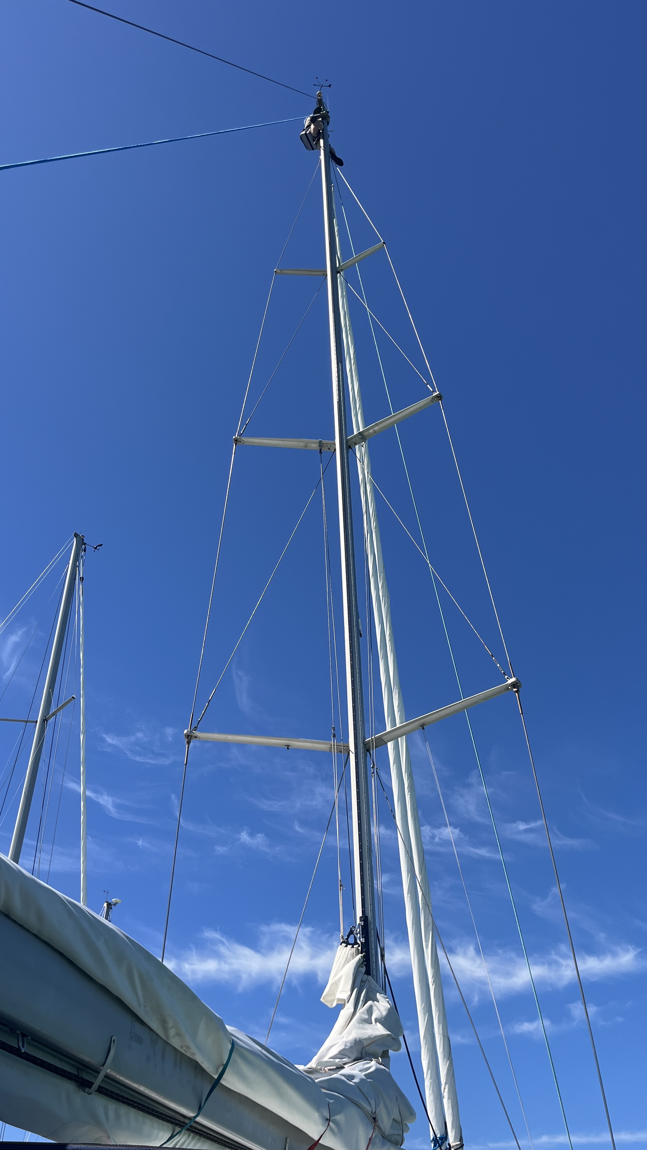 I got all the way to the top. Wasn't too hard to replace the bearing.