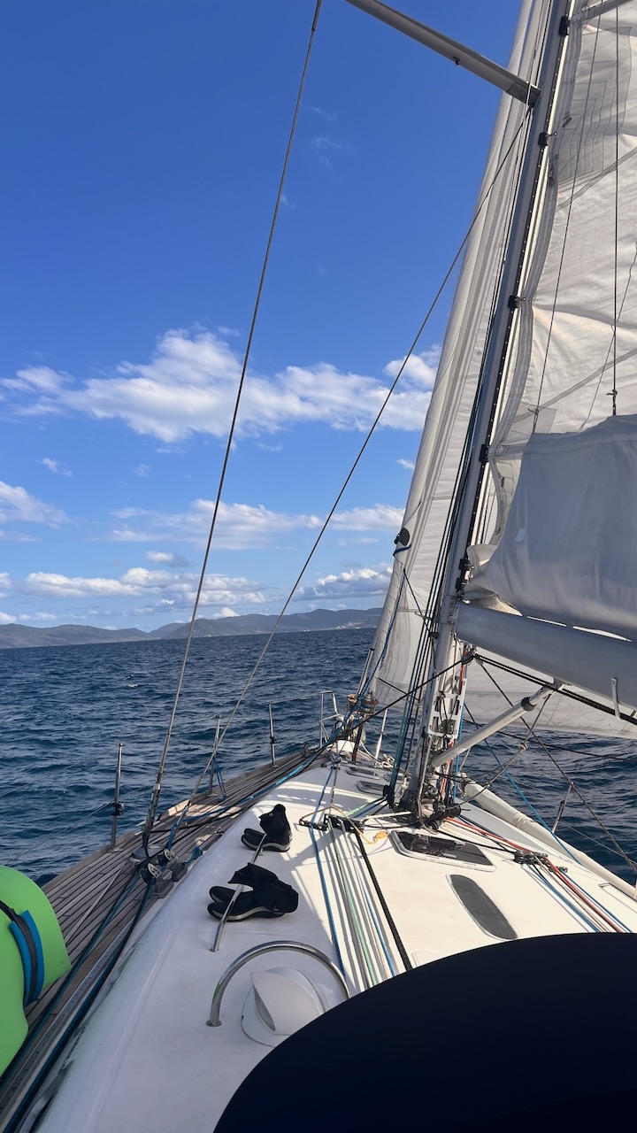 A lovely sail back to Airlie