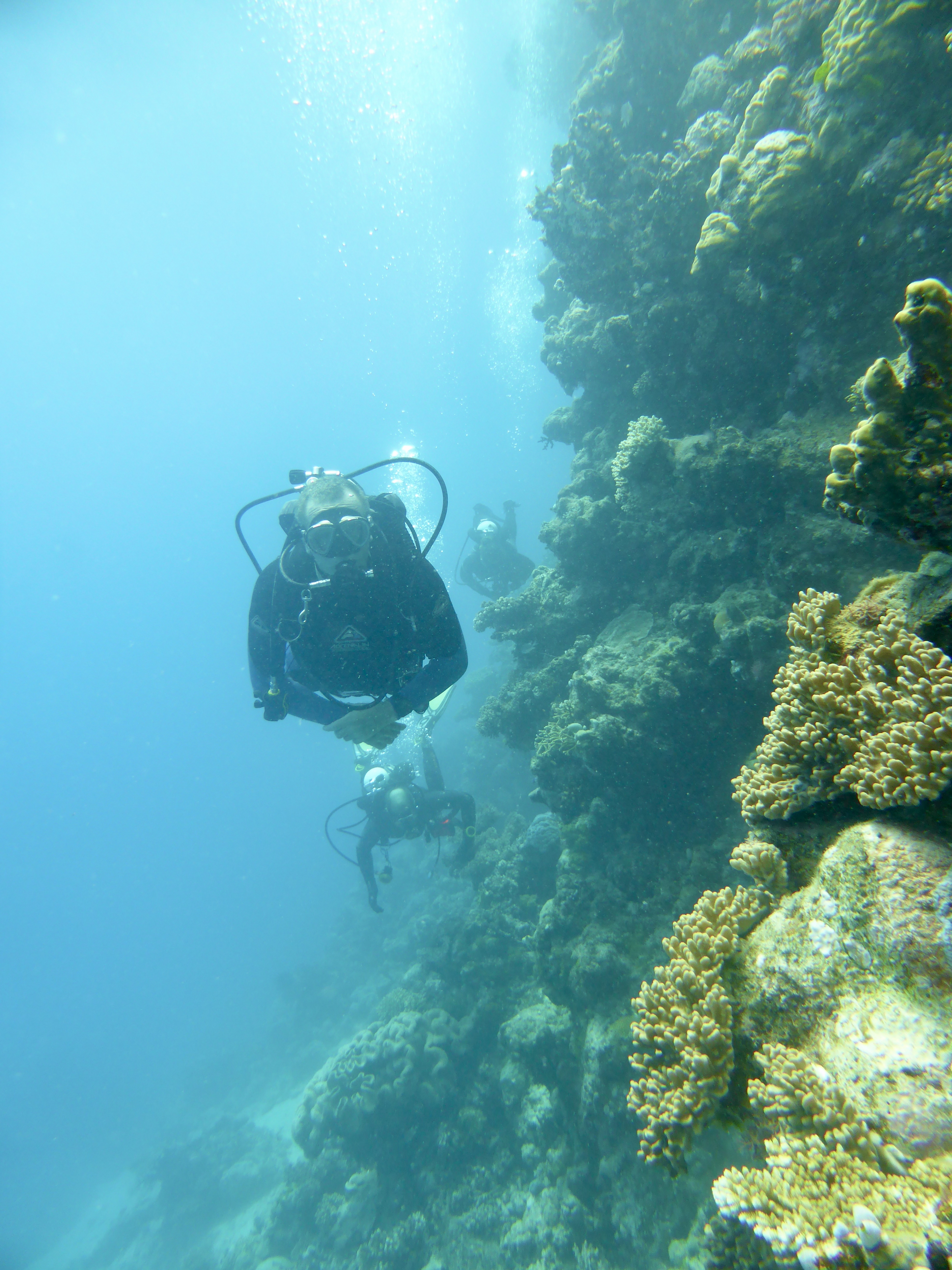 Wall diving... Andrew and Bride behind me