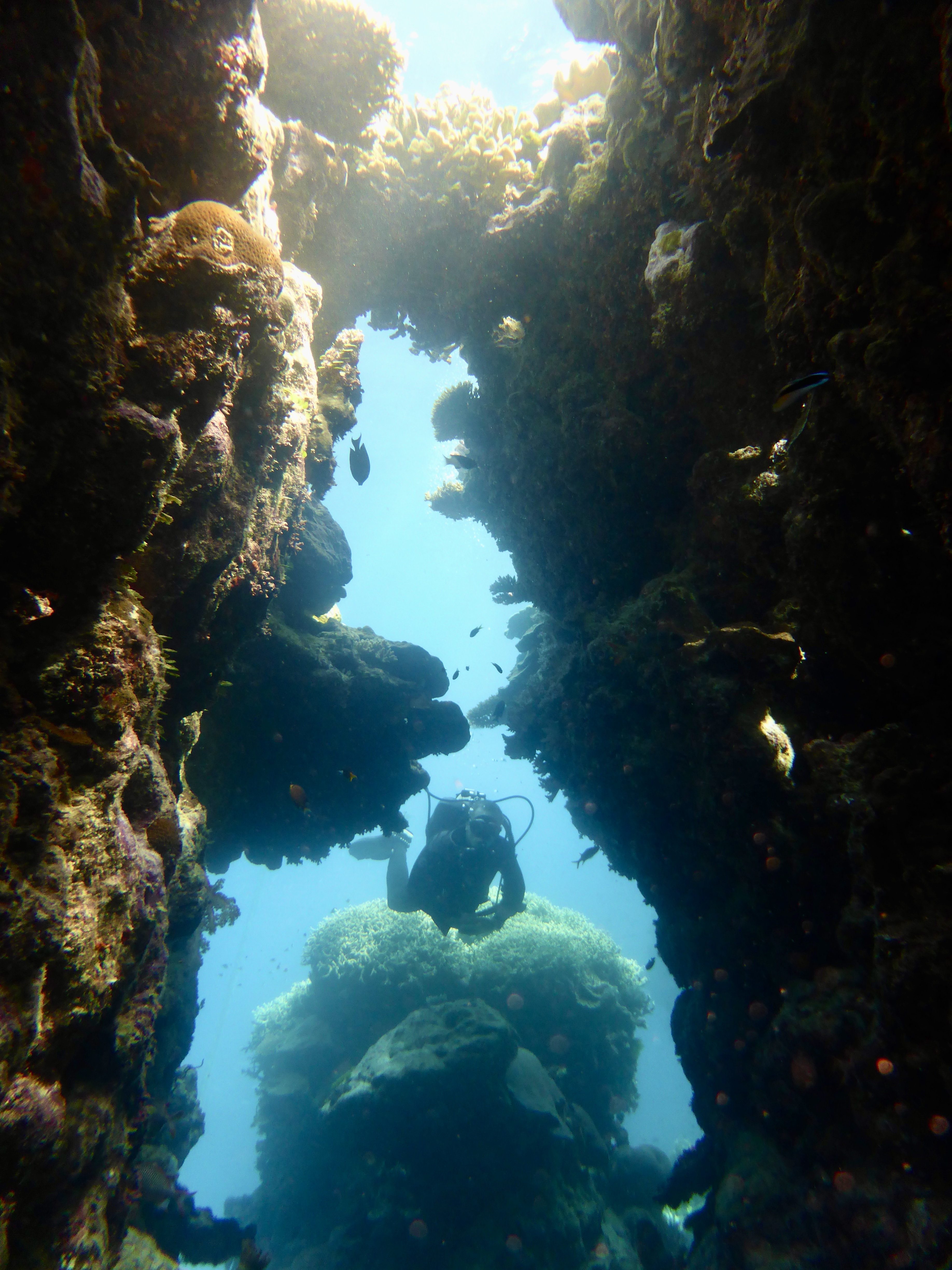 Lots of cool canyons / crevices to explore