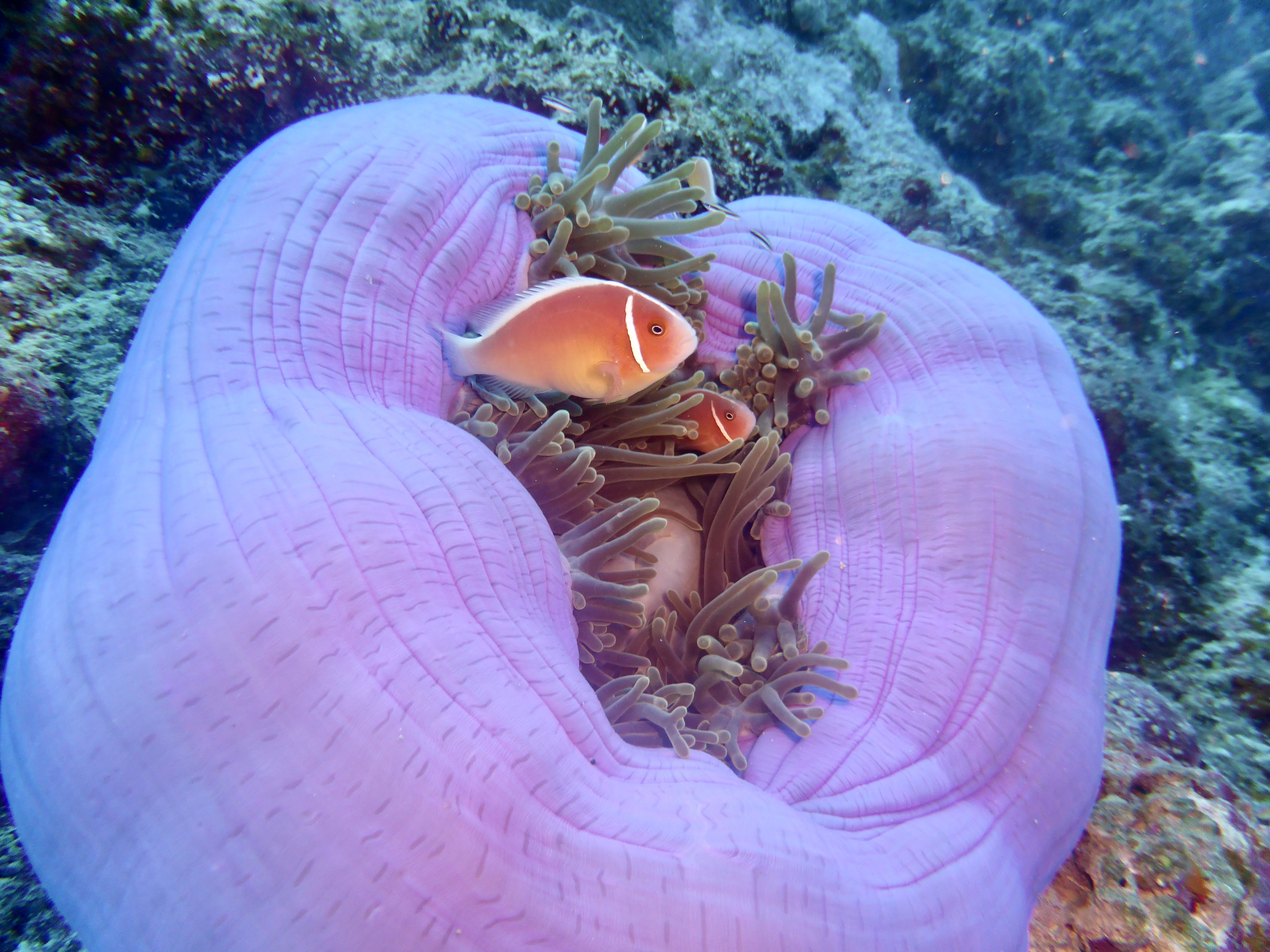 These are Kristie's favourites!!