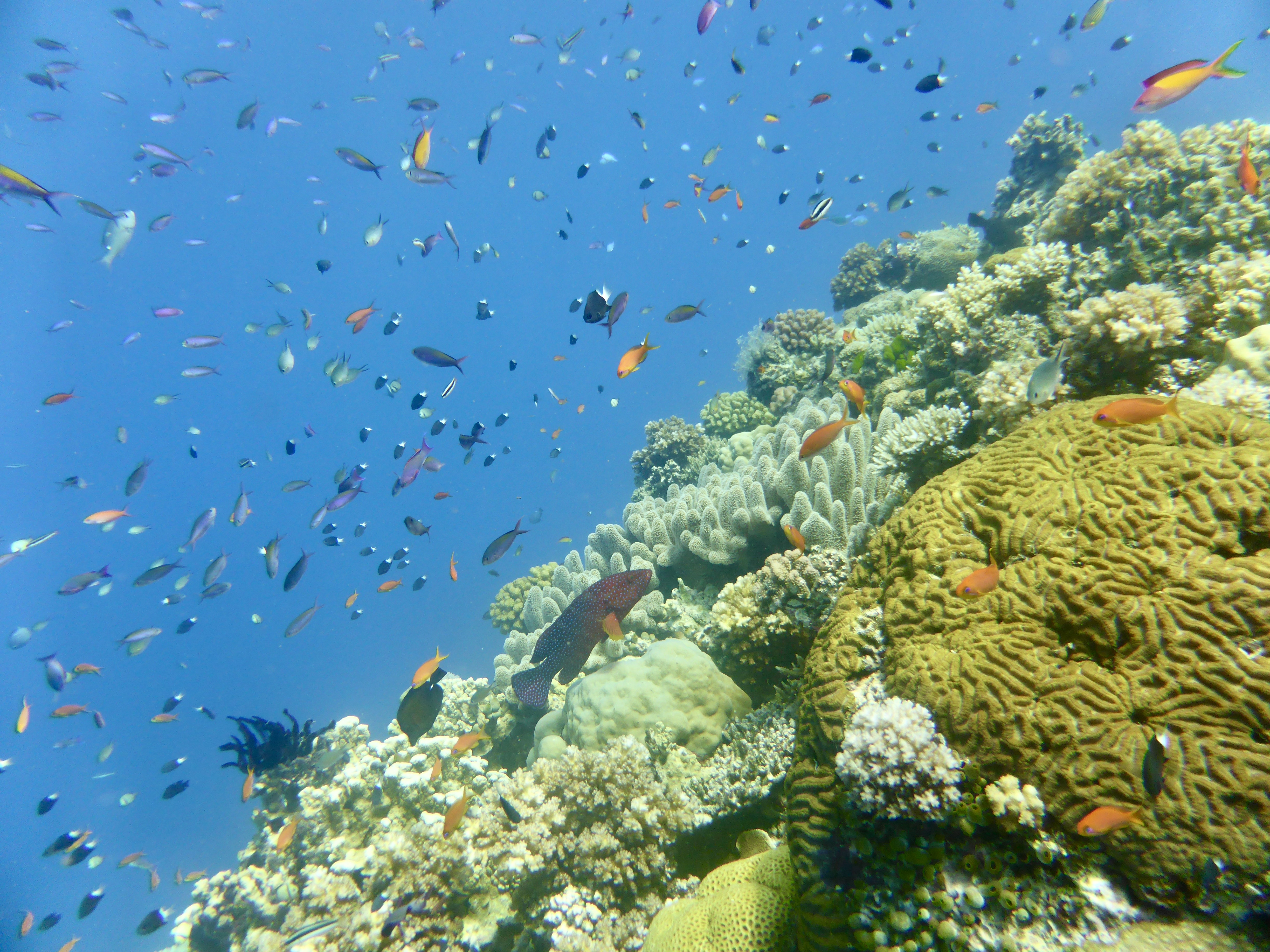 You don't have to go deep to get all the action