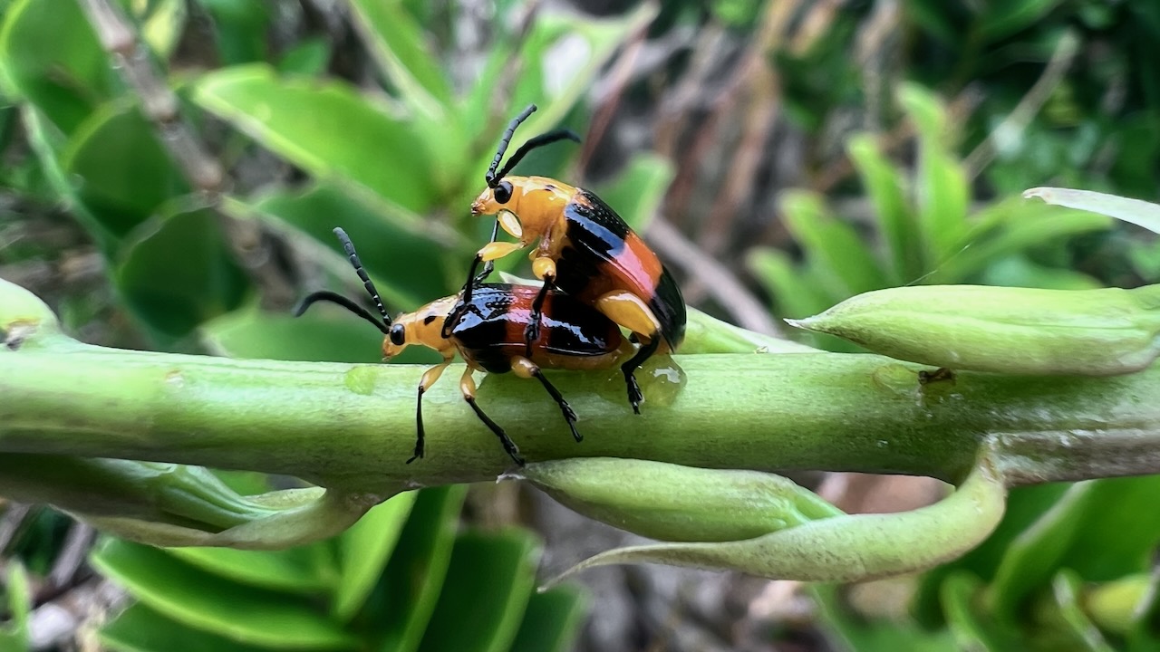 "Do you mind! I'm a bit busy right now"