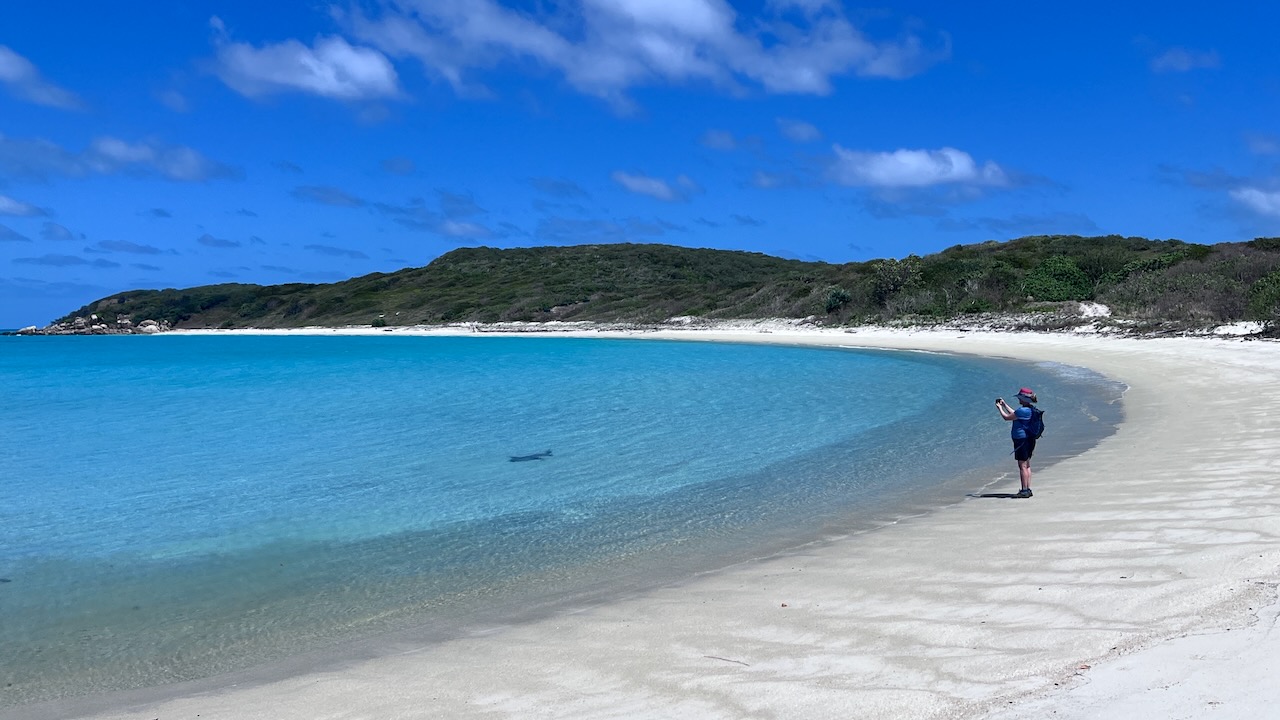 Cruising the shallows