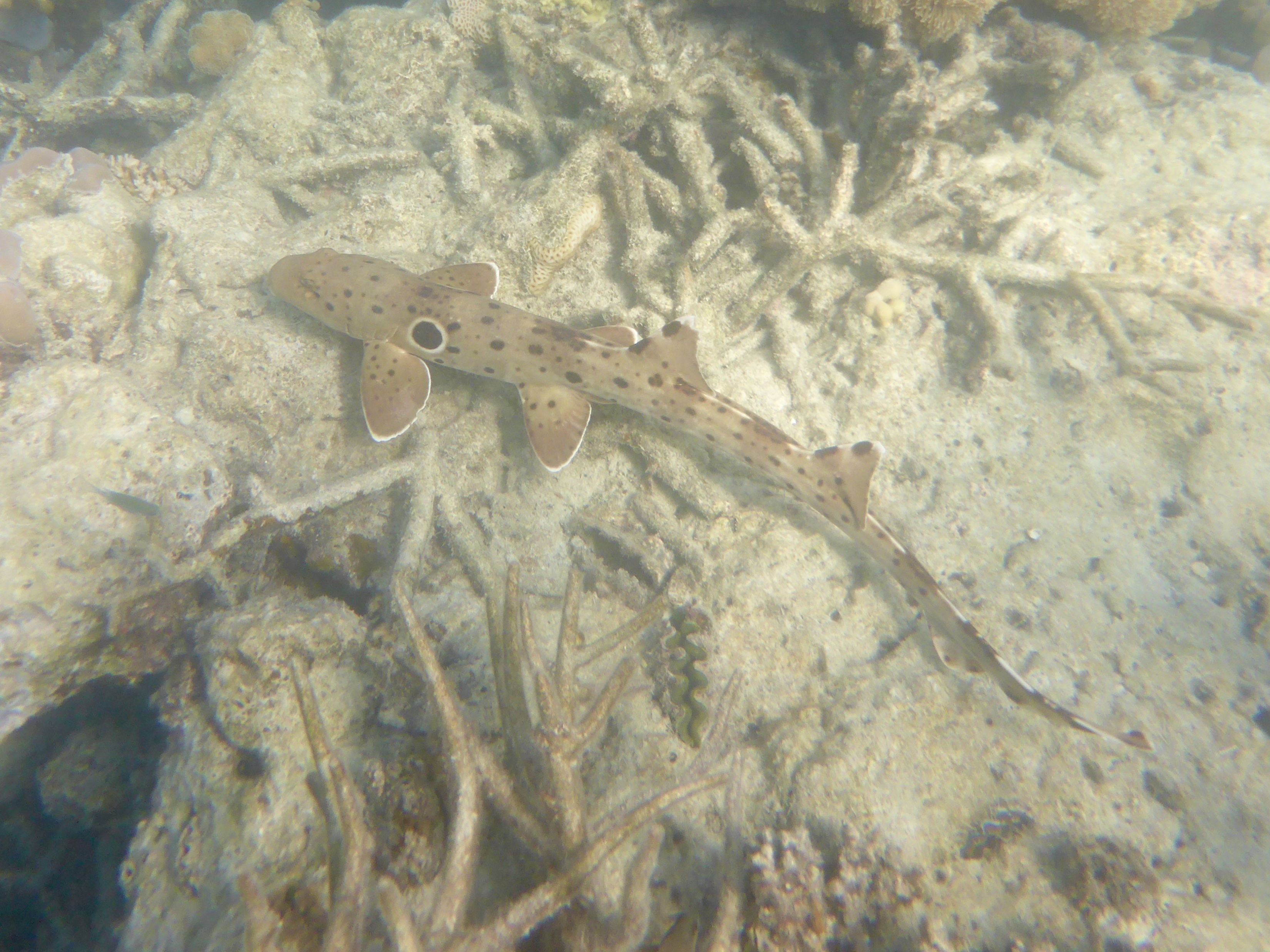 So much to see, and it's right in the middle of the bay