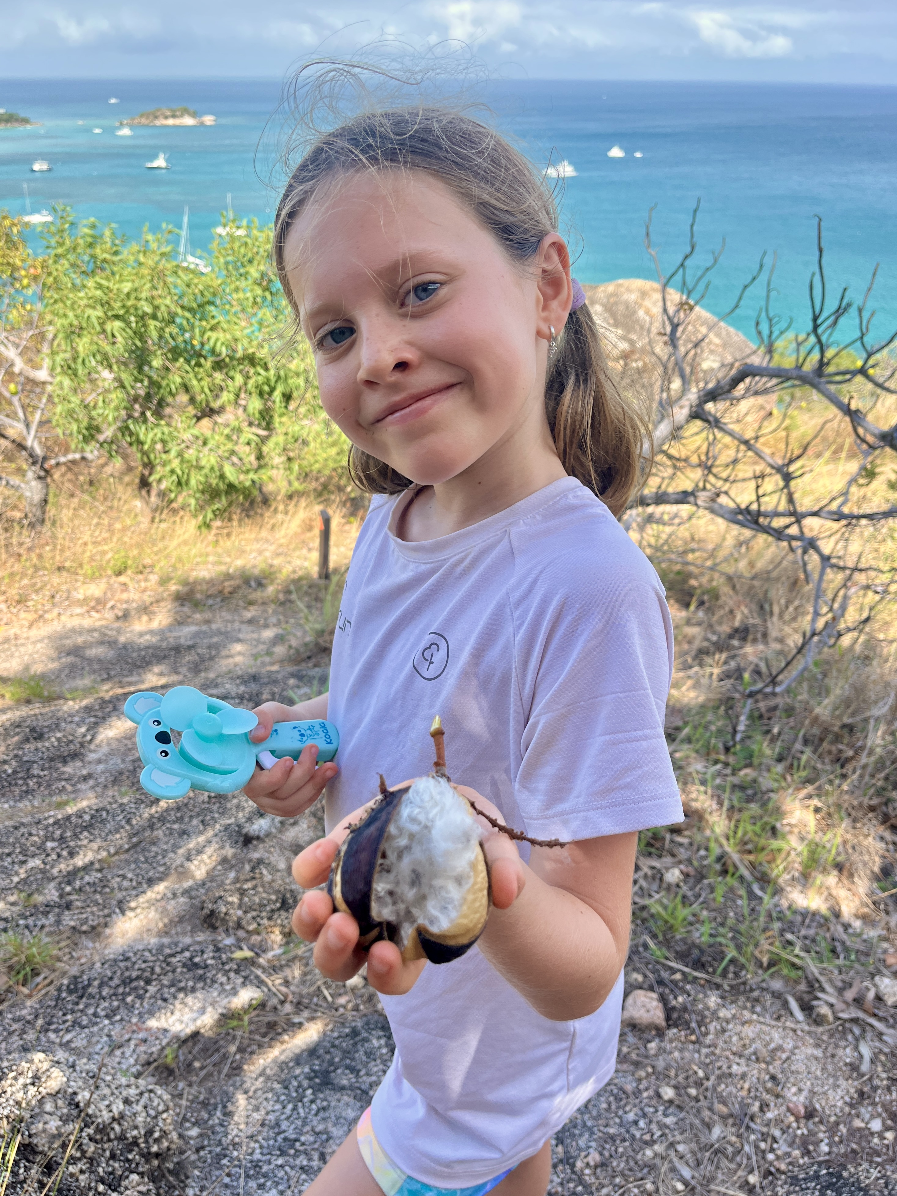 Plenty of Kapok around