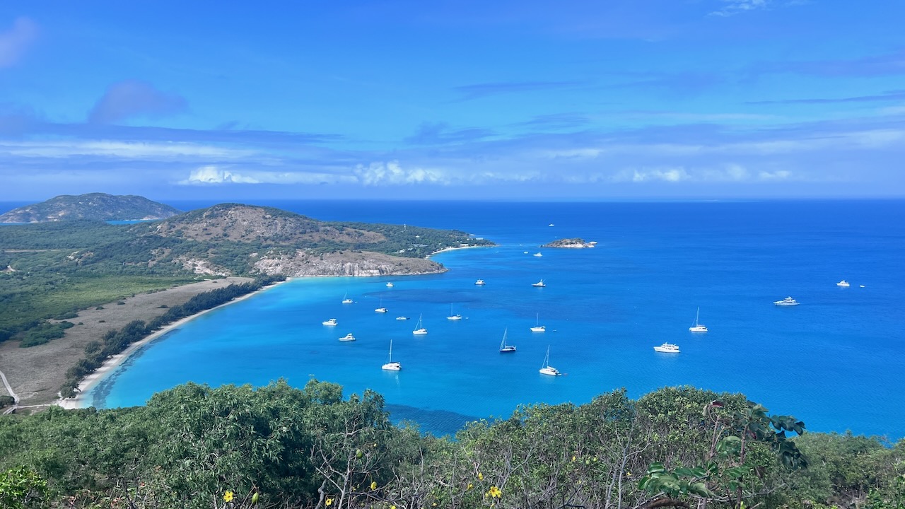 Stunning views over Watsons Bay and all the yachts