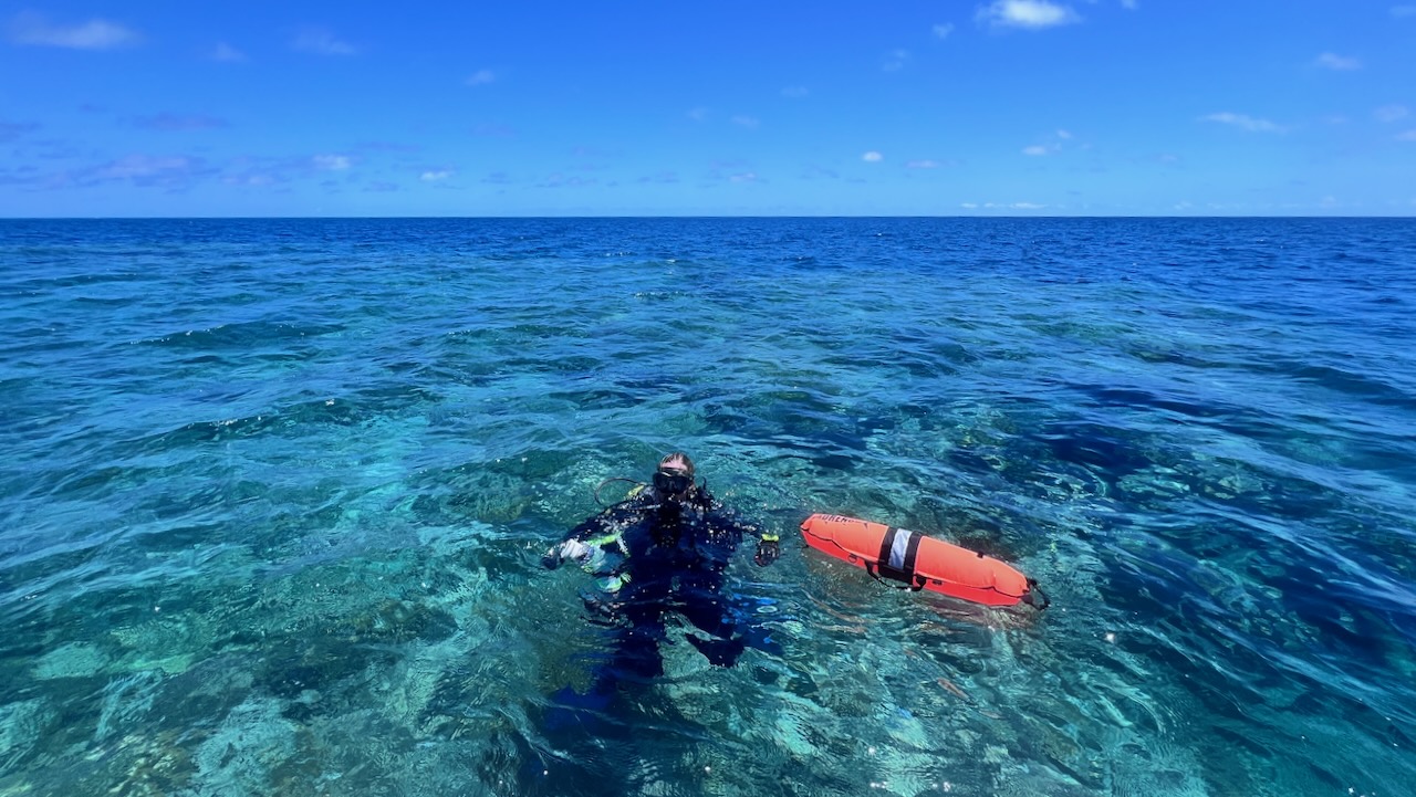 Kristie getting ready to check out this bommie