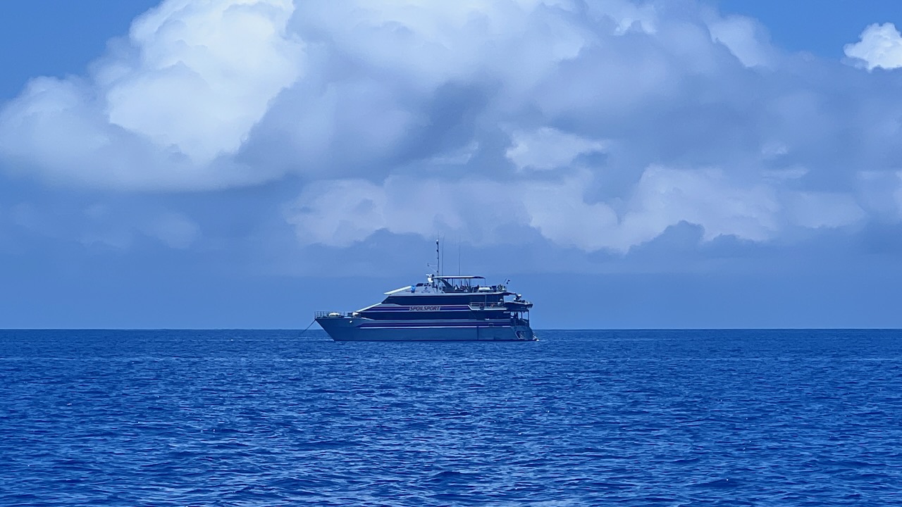 Thanks for showing us where to dive!